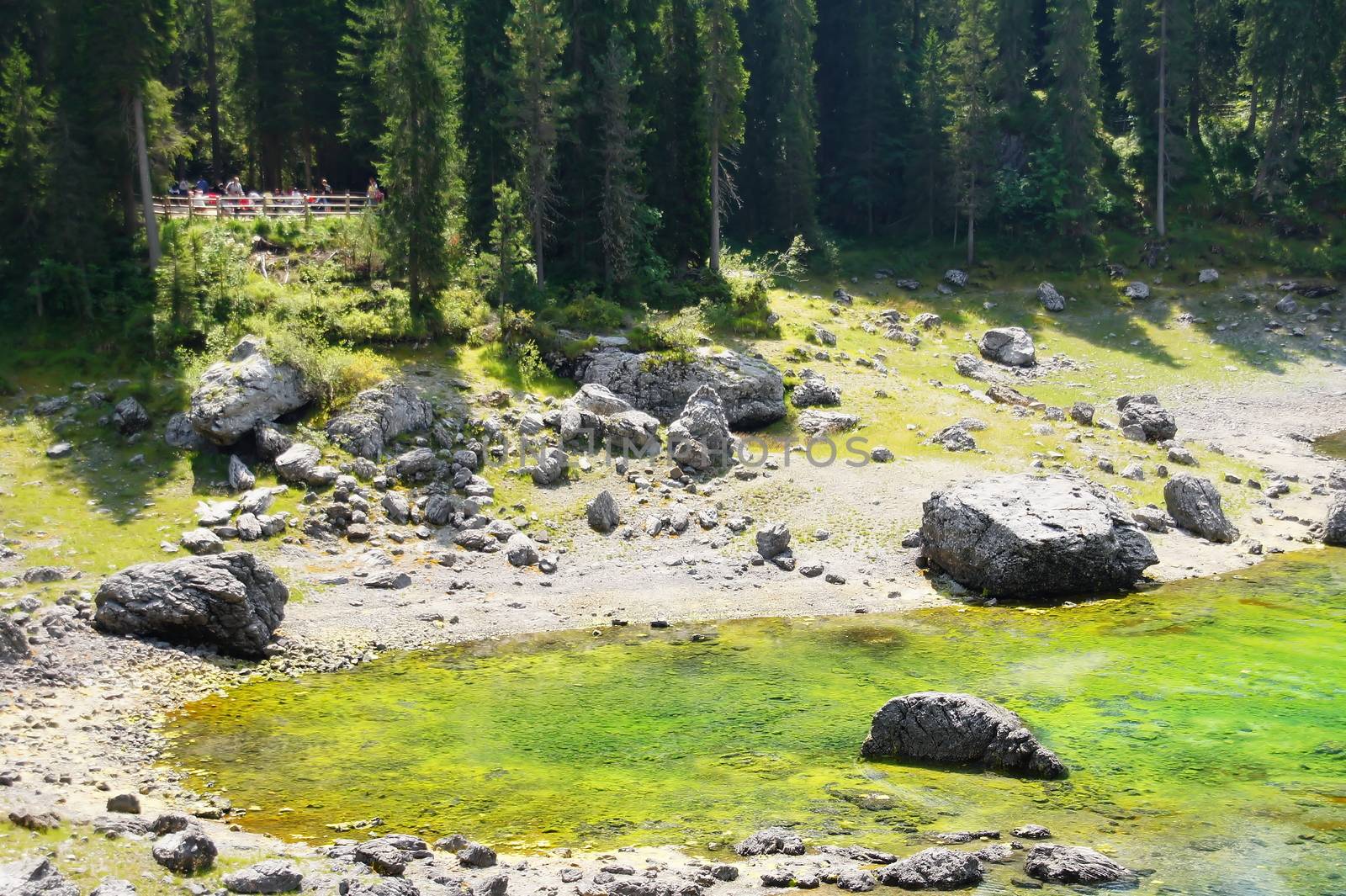 Teil des Karersees in den Dolomiten in Südtirol