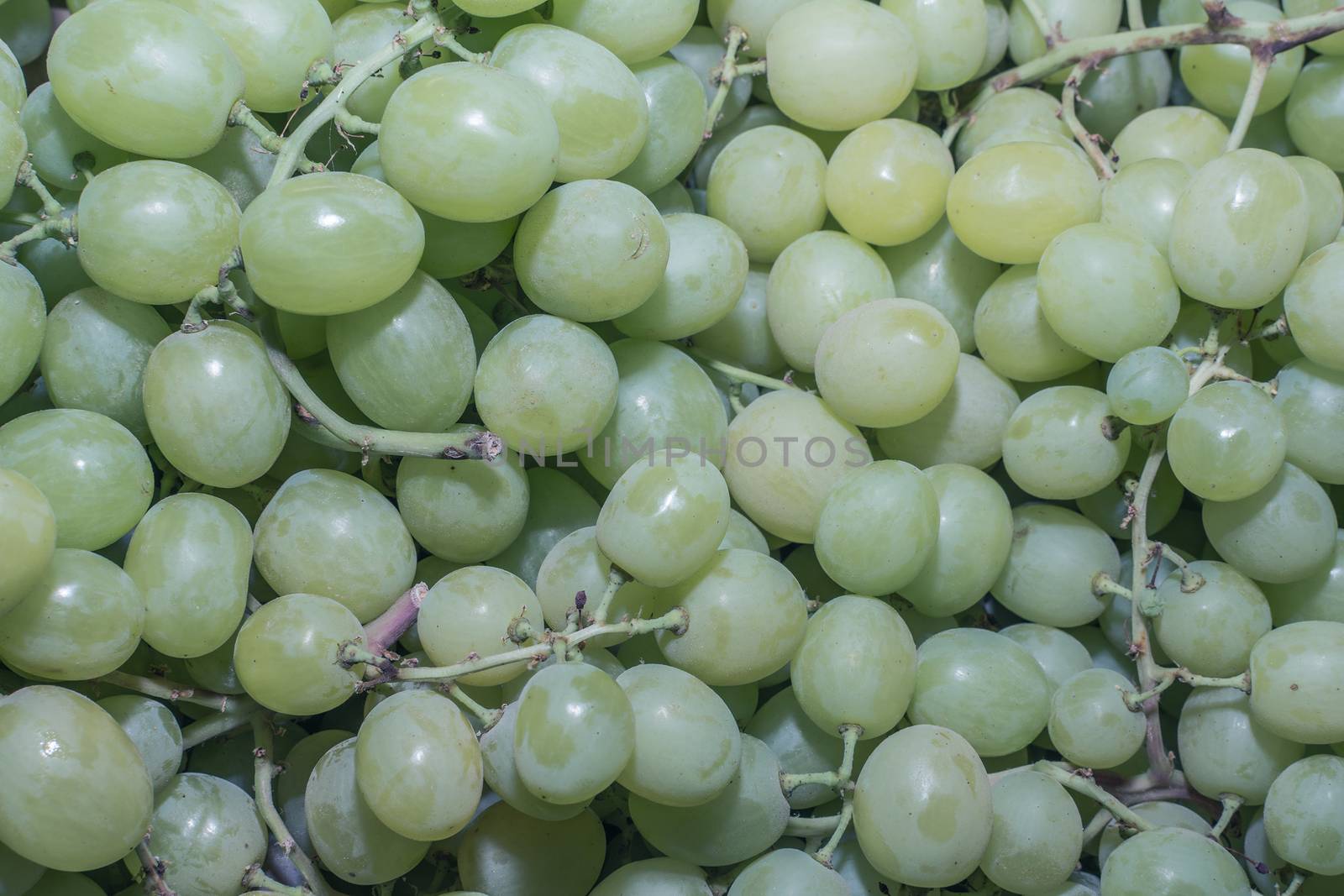 White grapes with leaves isolated on white background by sonyporto12