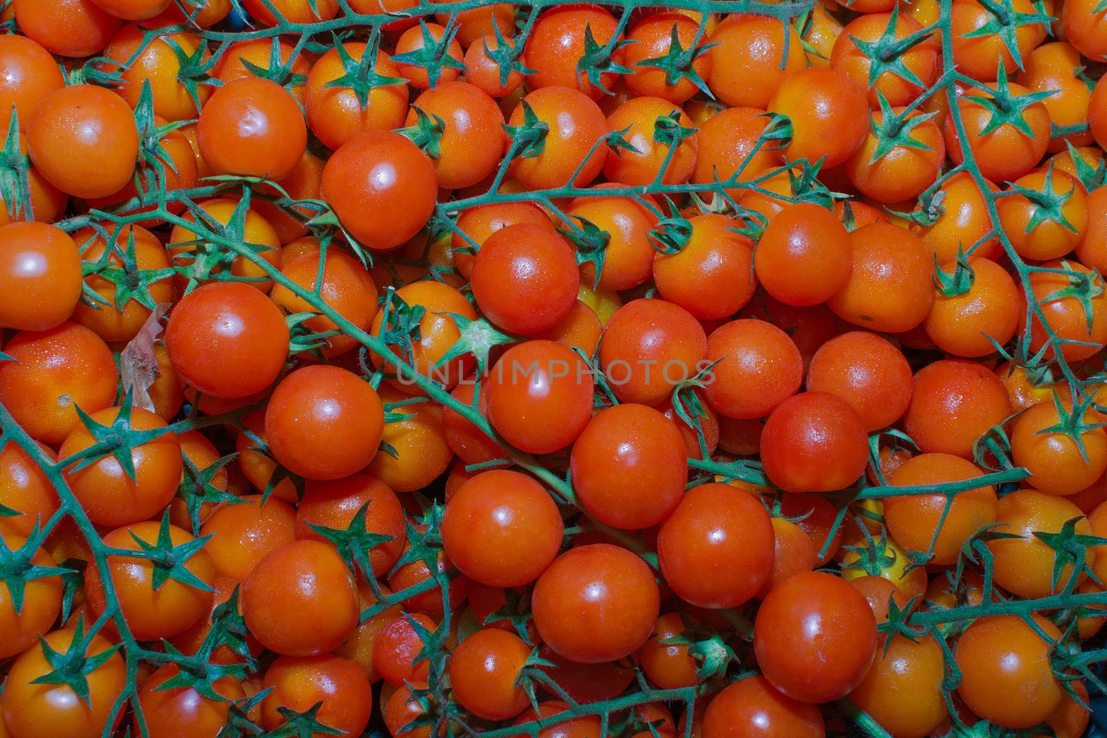 multitude of cherry tomatoes, close-up view