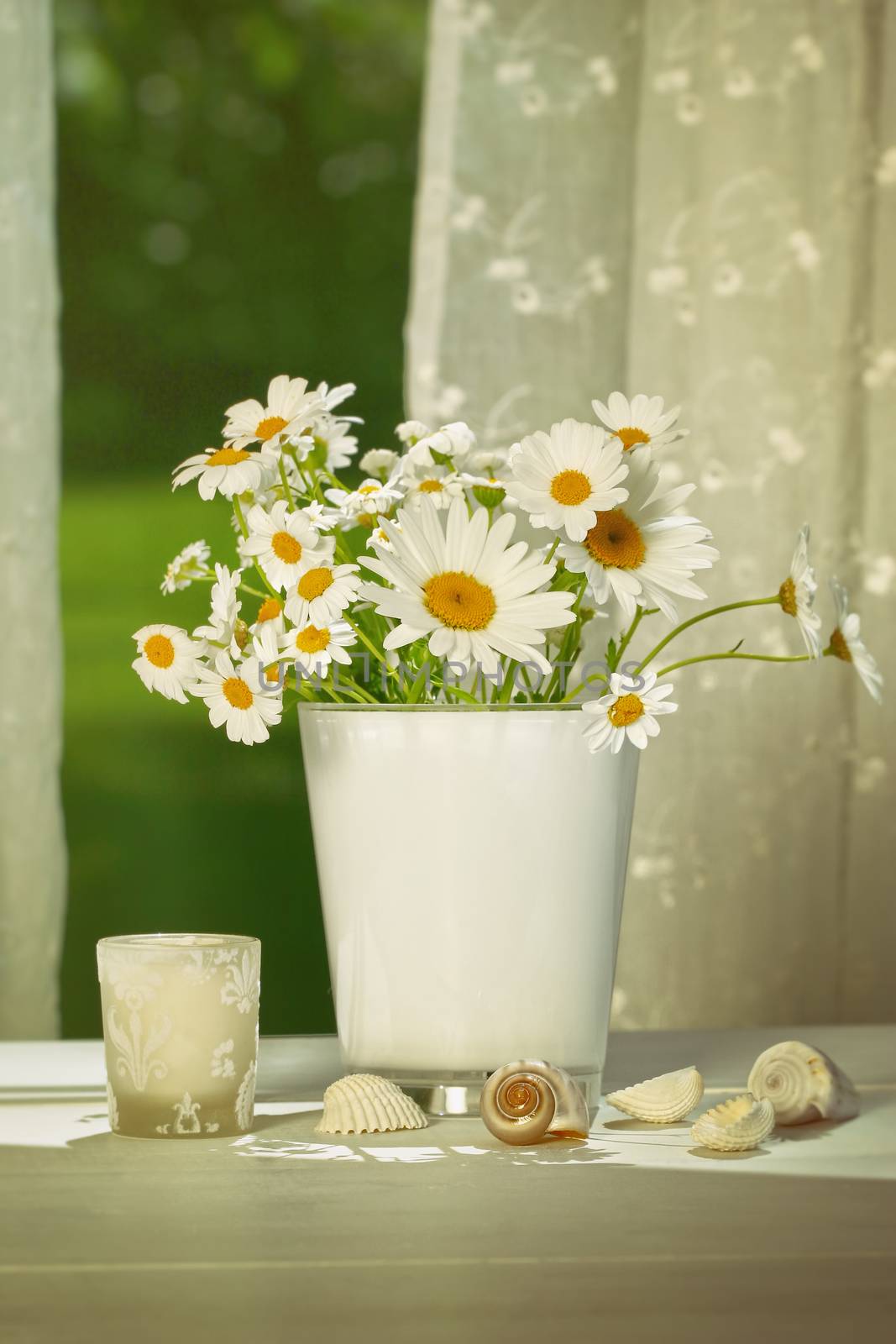 Summer daisies in vase in front of window