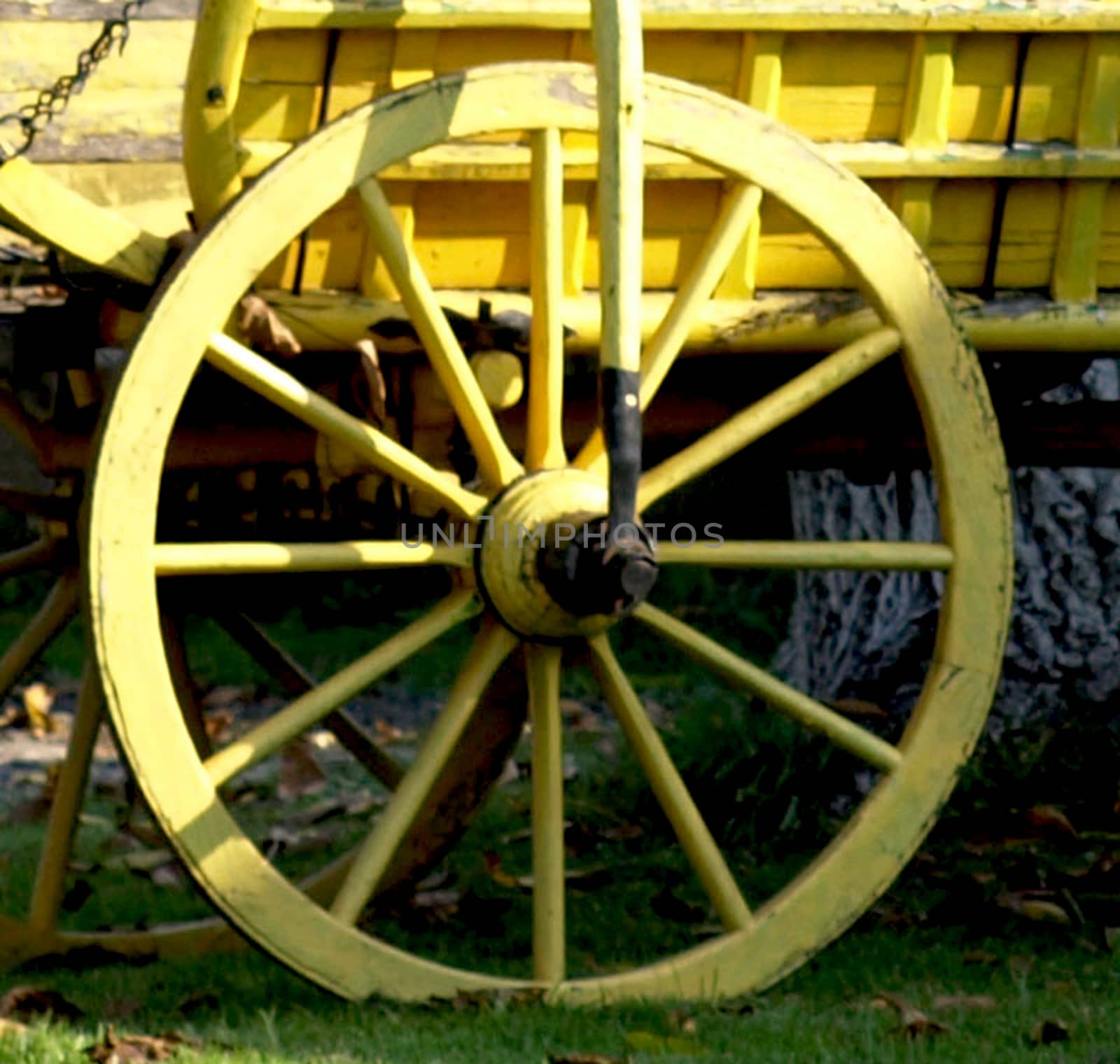 Wheel to the cannon