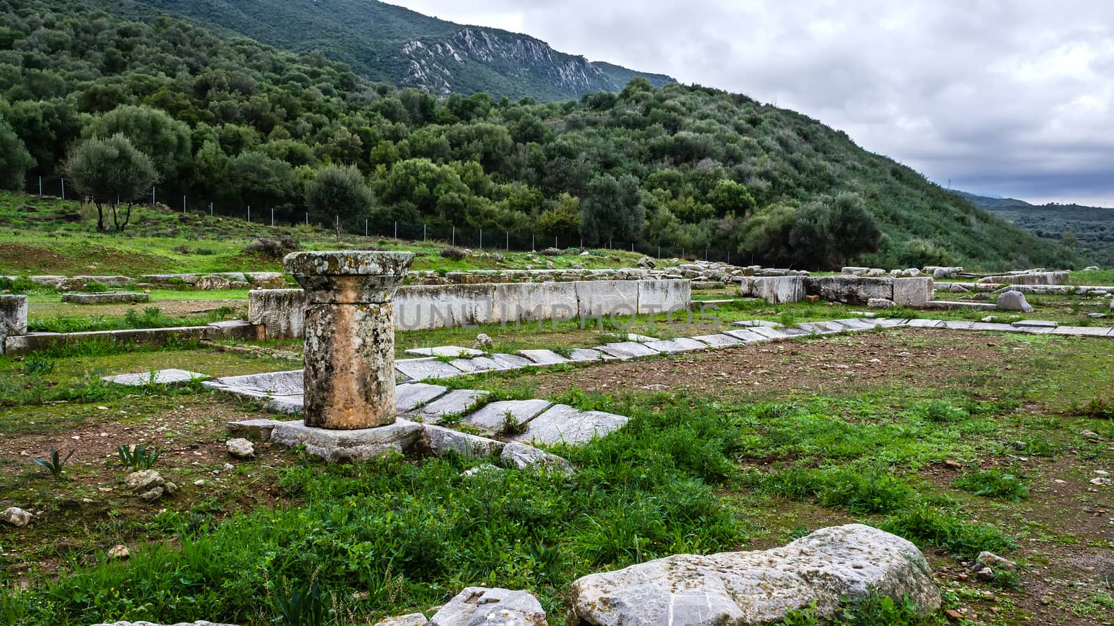 Pillar ruins at Ancient Troizina , Peloponnese, Greece