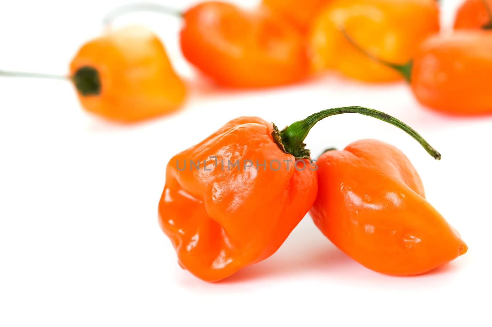 Habanero Peppers by songbird839