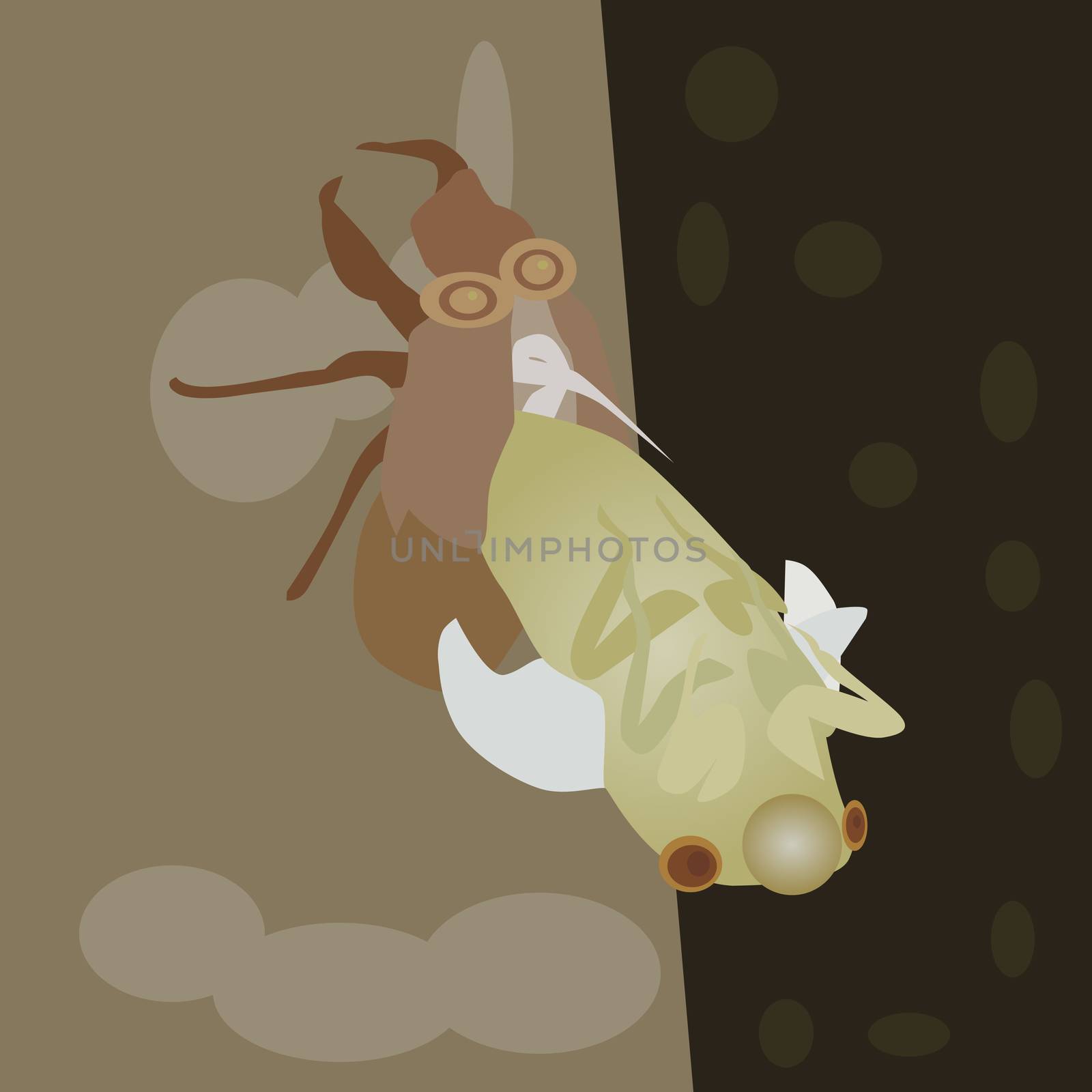 Vector of cicada nymph by olovedog