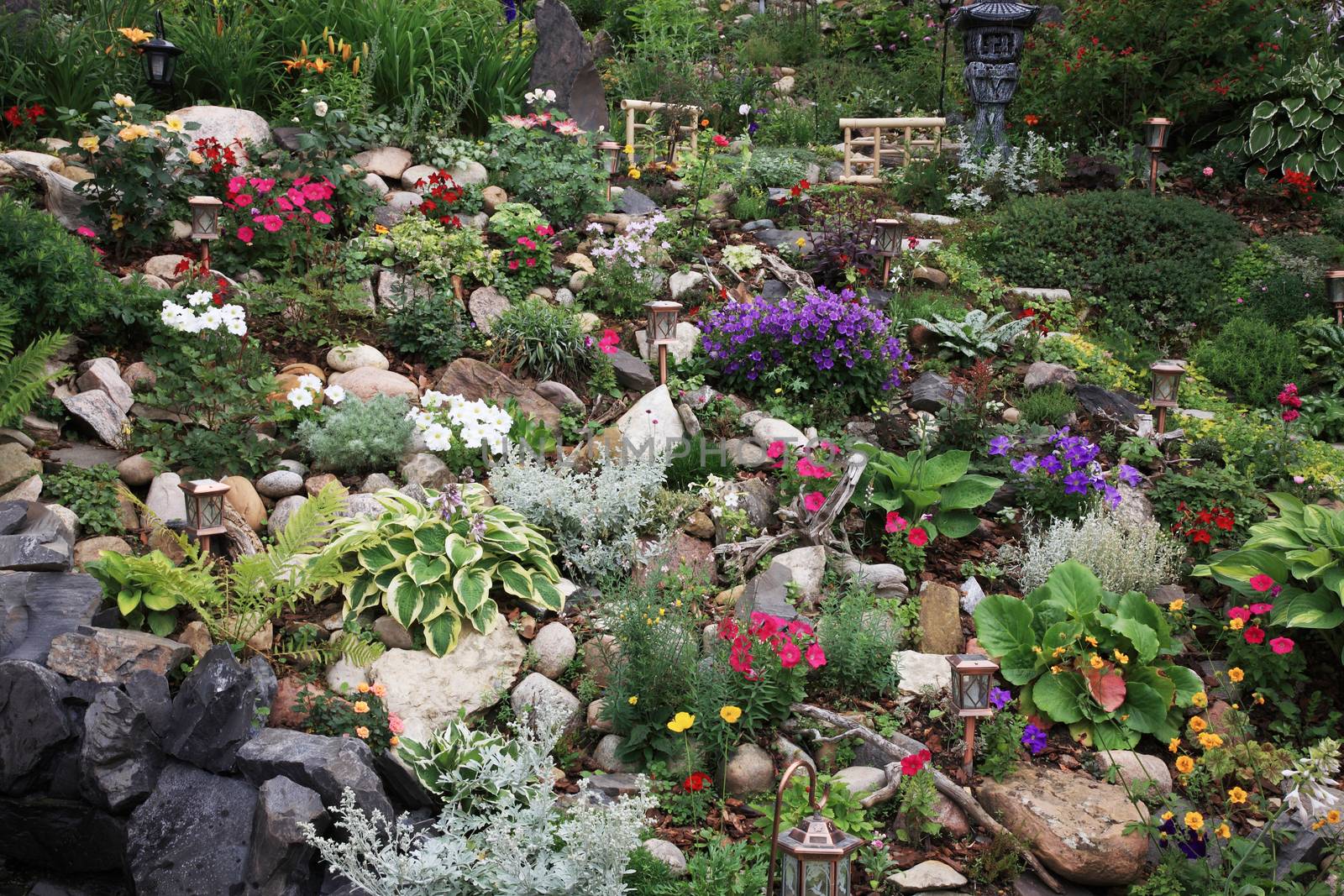 A beautiful perennial garden planted on a difficult slope.  Extreme gardening at it's best!