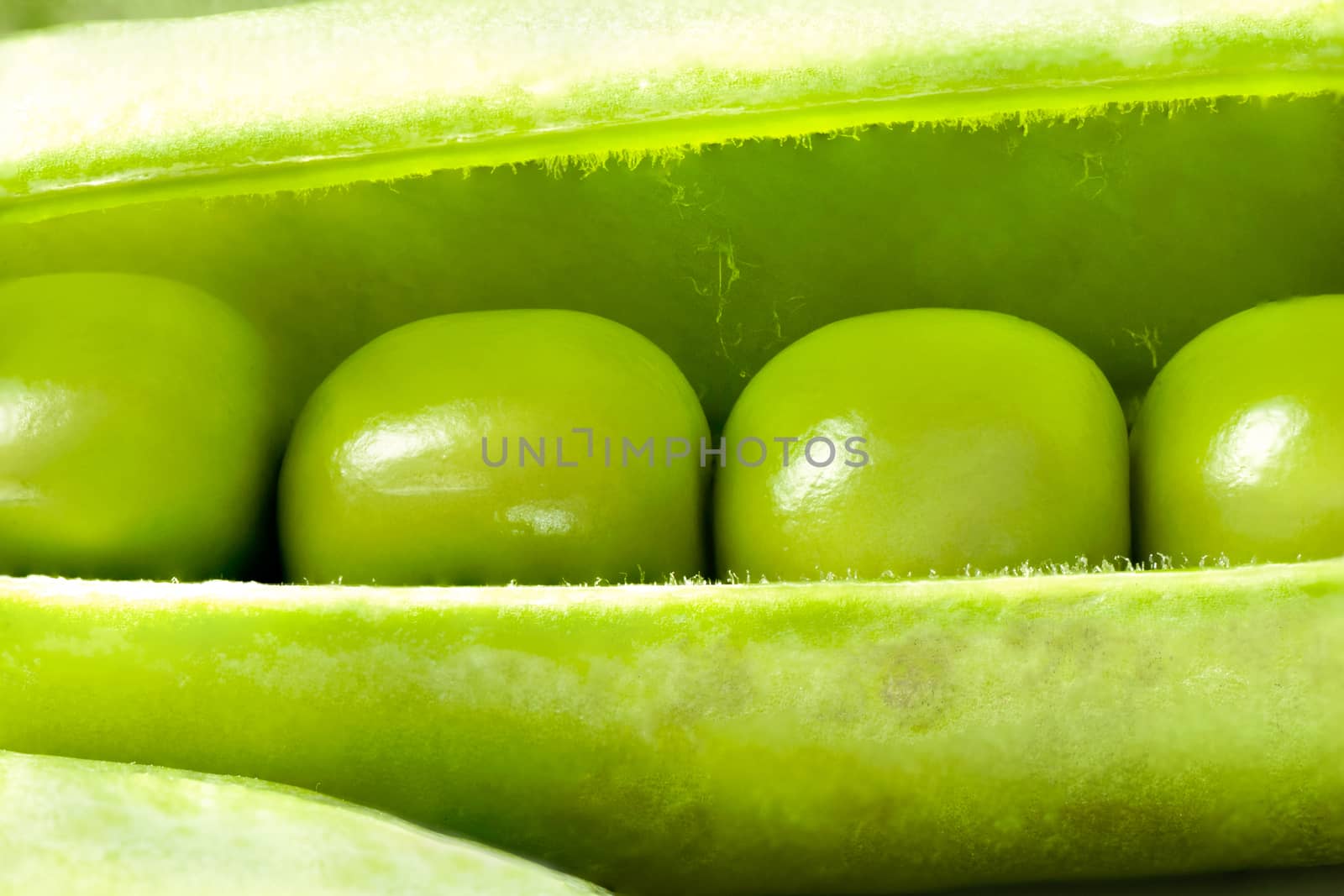 Close-up of an open fresh pea pod, macro.