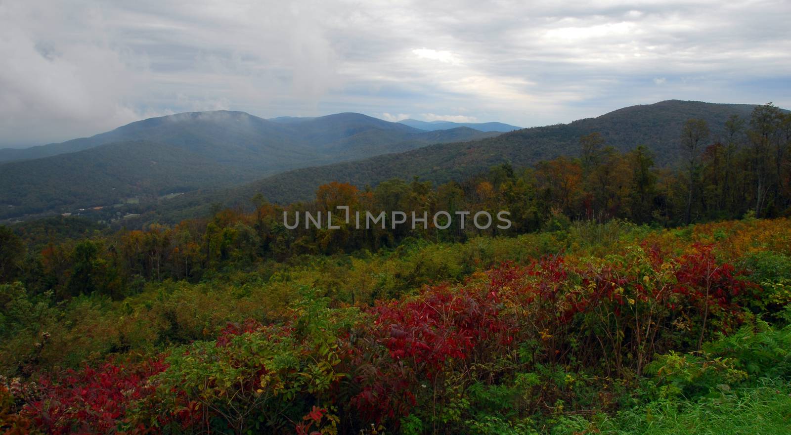 Fall Colors of autumn in Shenandoah National Park Virginia