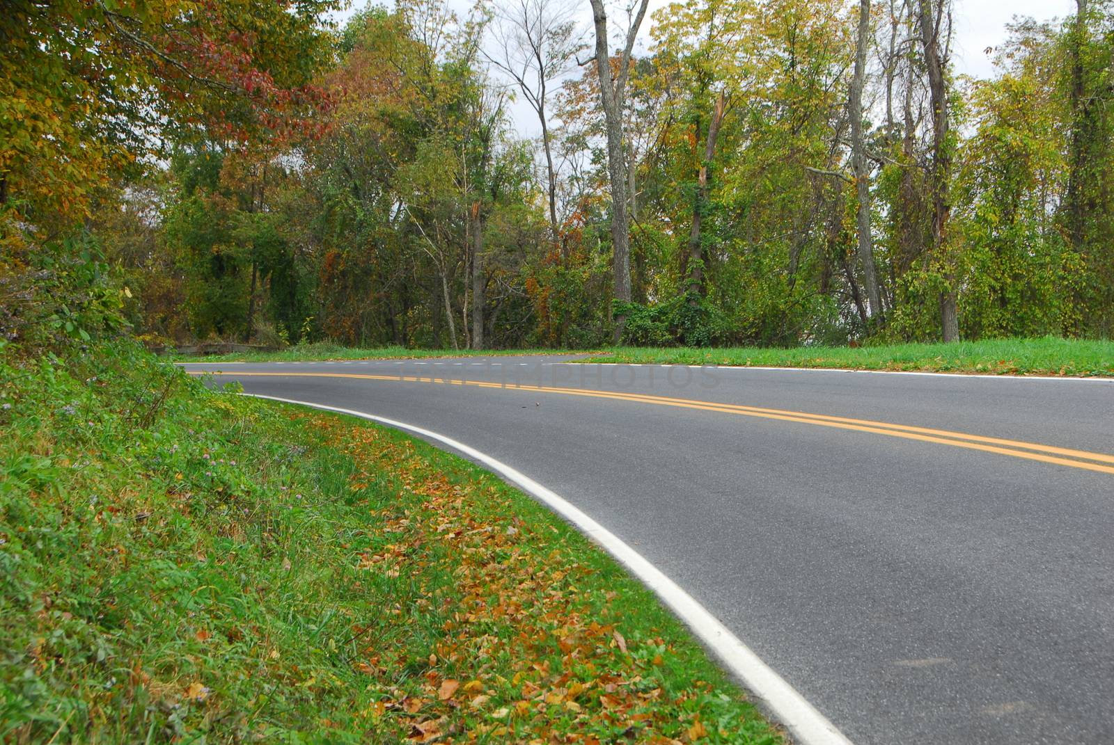 Fall Colors of autumn in Shenandoah National Park Virginia