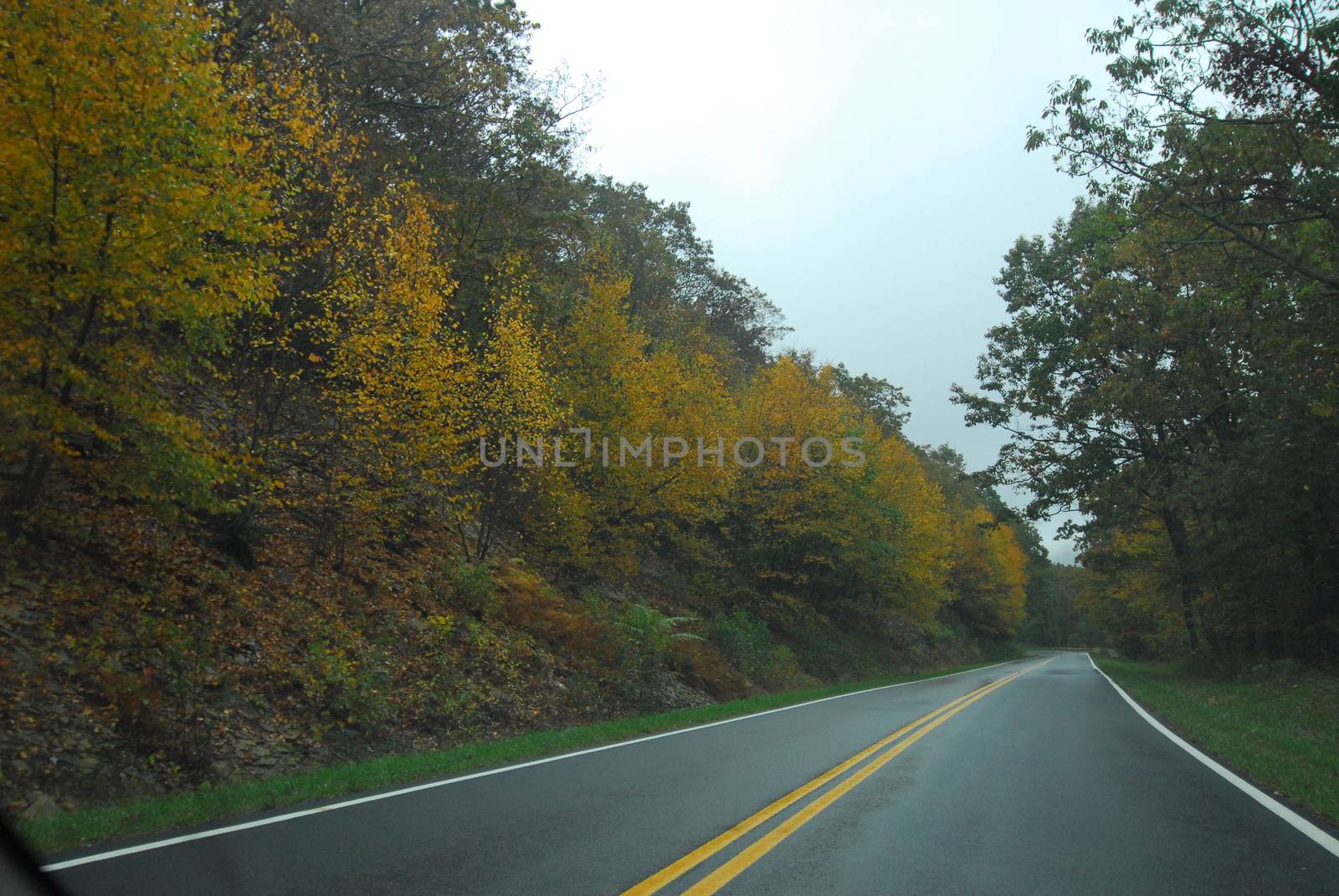 Fall Colors of autumn in Skyline Drive Shenandoah National Park Virginia