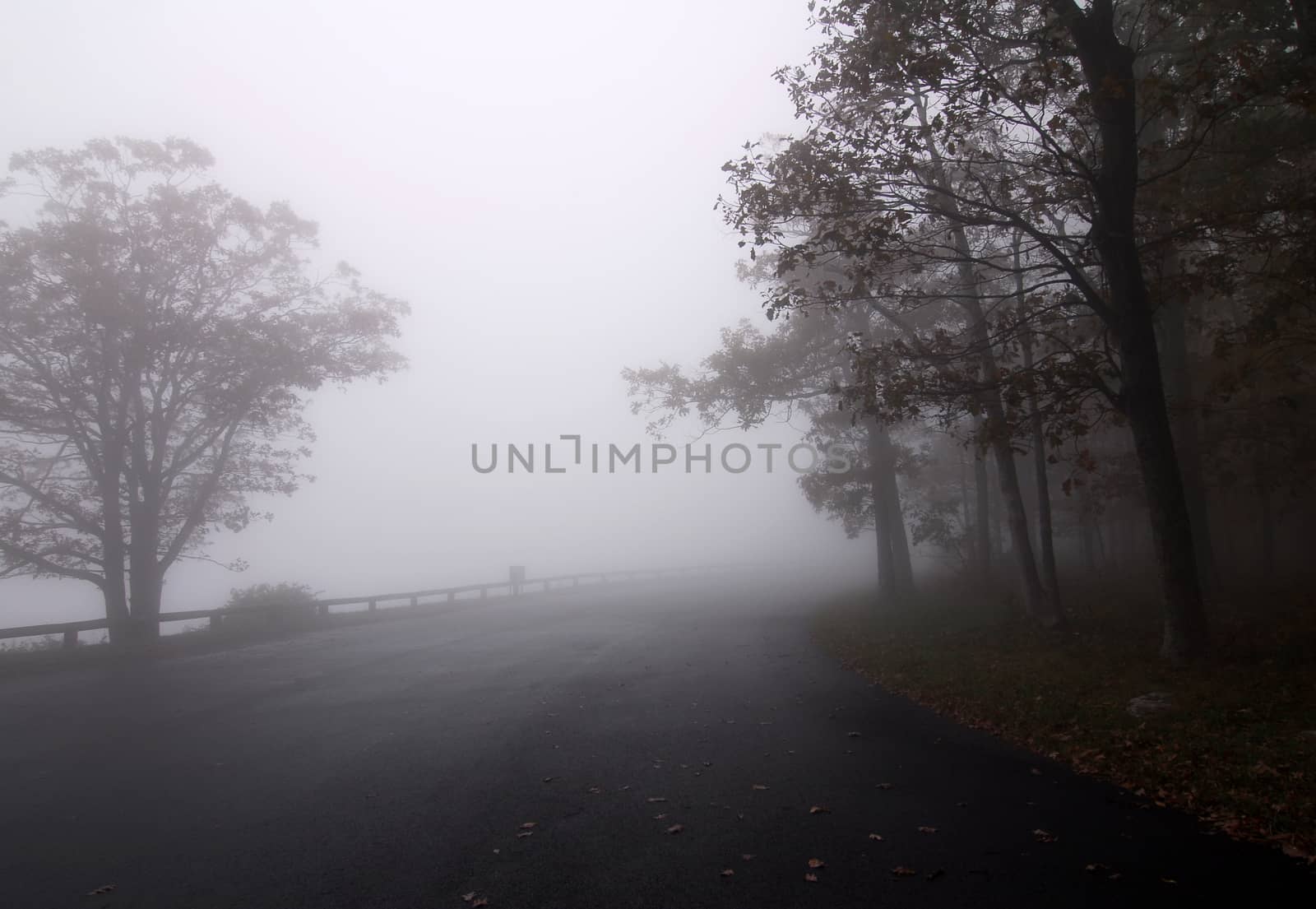 Foggy forest road highway with two lanes and trees