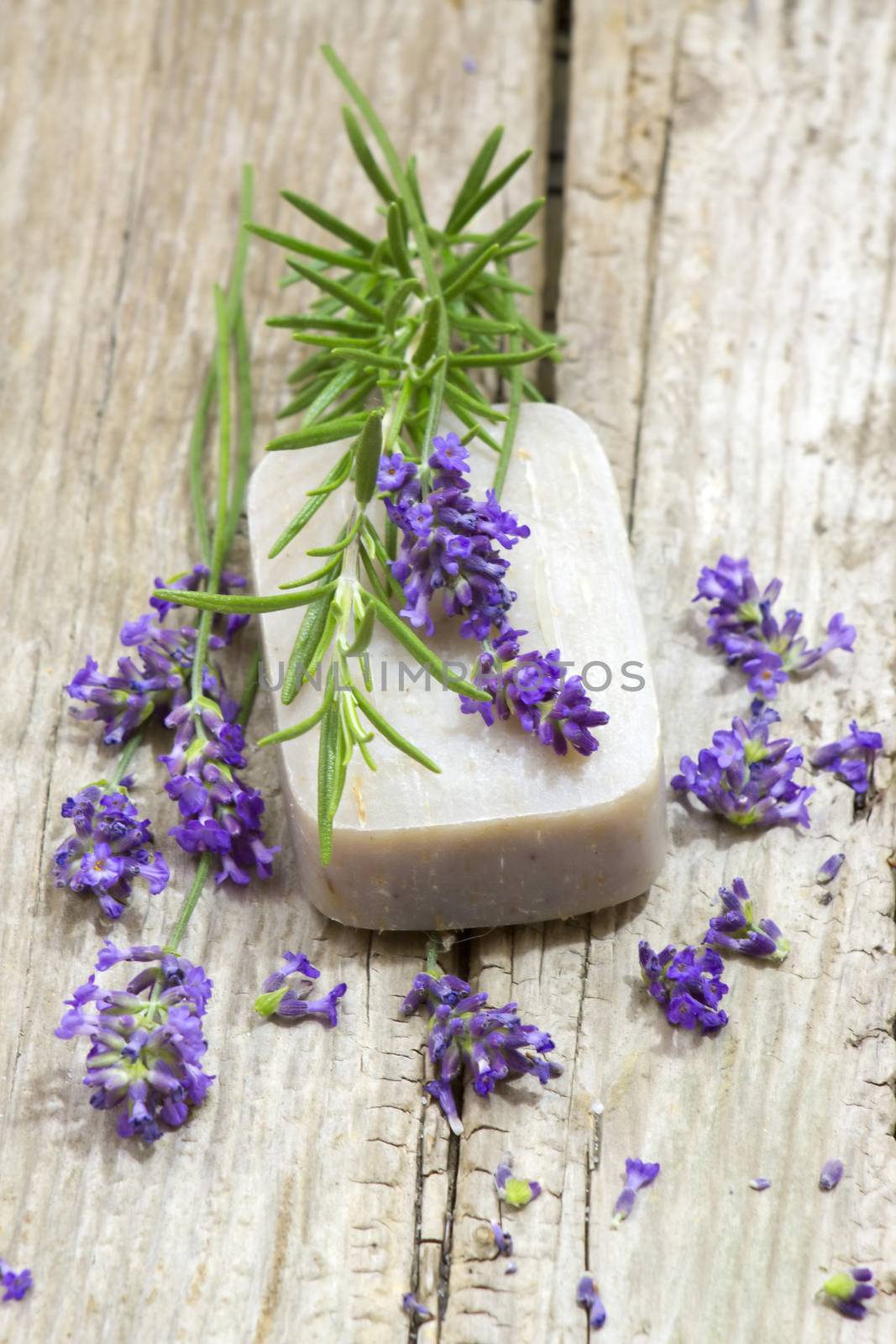 bar of natural soap and lavender flowers by miradrozdowski