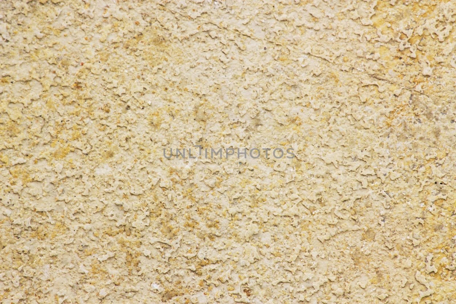 Texture of stone background