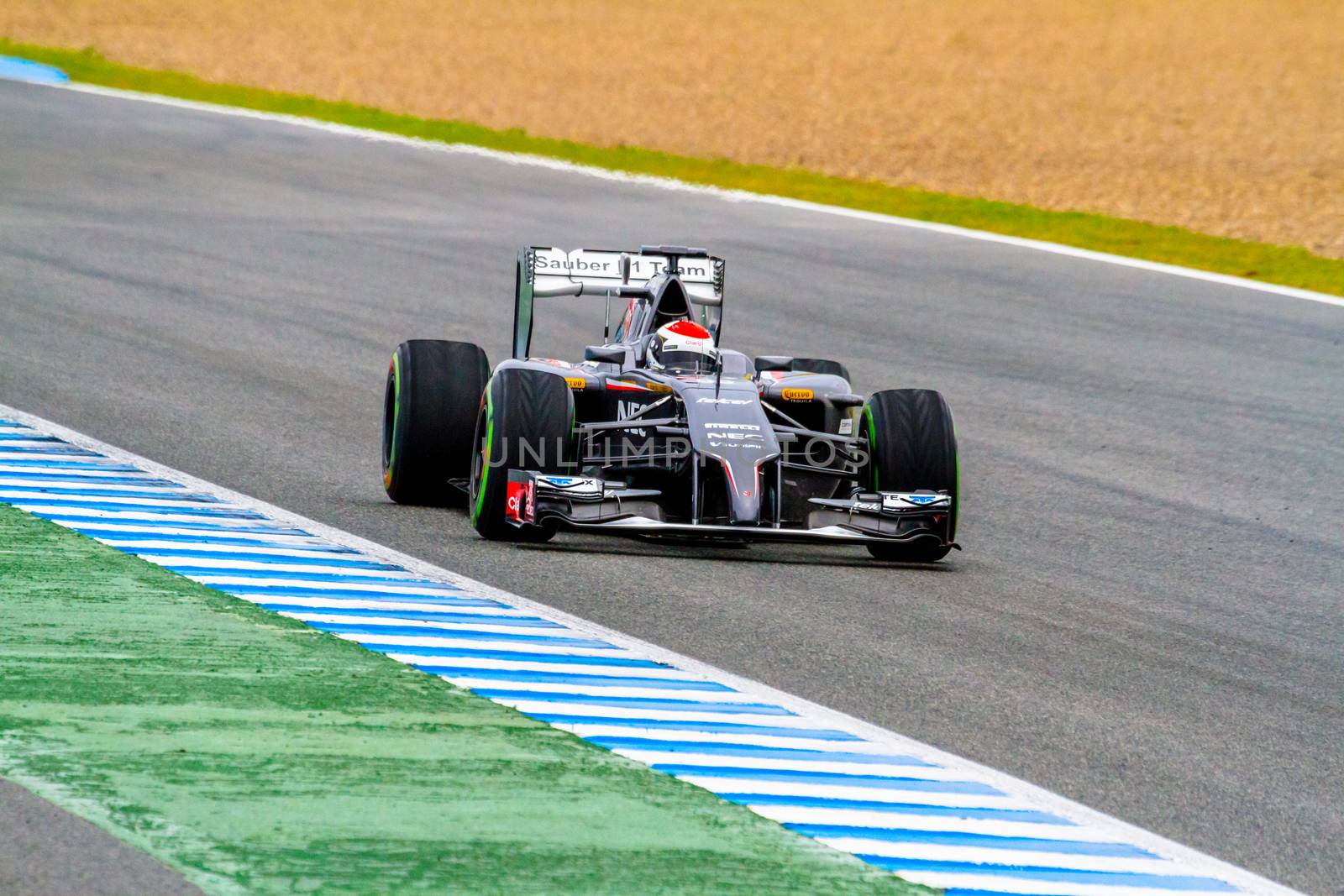 Team Sauber F1, Adrian Sutil, 2014 by viledevil
