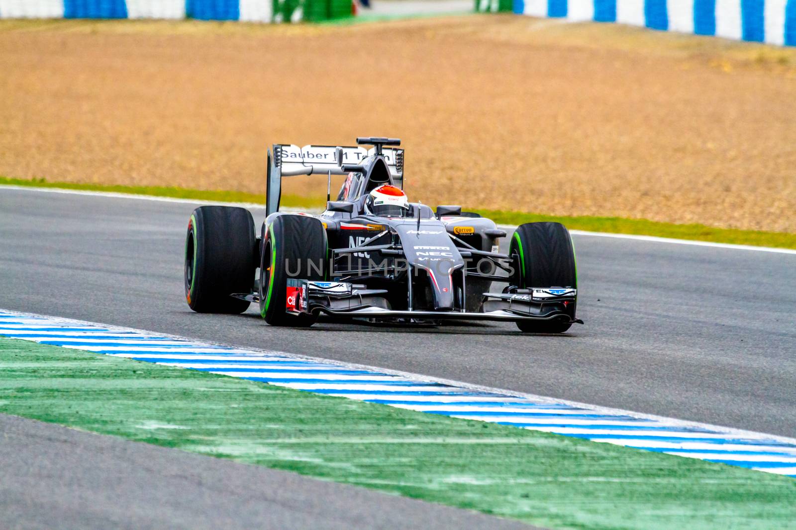 JEREZ DE LA FRONTERA, SPAIN - JAN 31: Adrian Sutil of Sauber F1 races on training session on January 31 , 2014, in Jerez de la Frontera , Spain