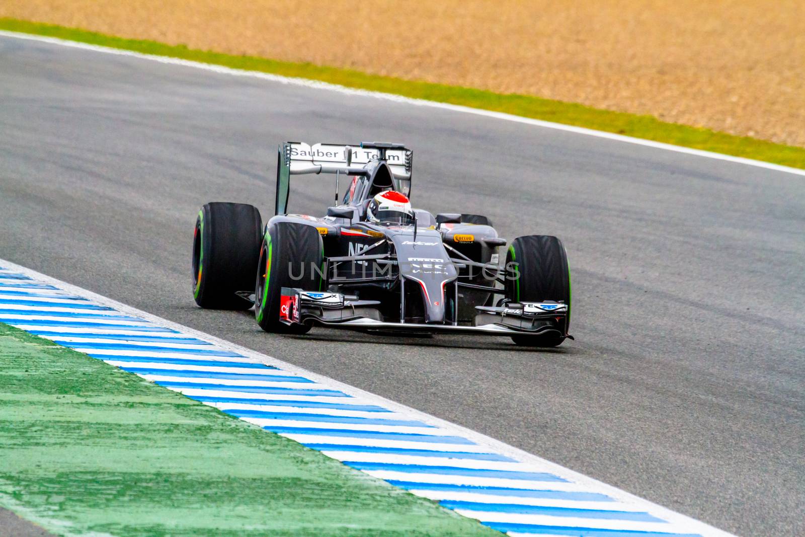 JEREZ DE LA FRONTERA, SPAIN - JAN 31: Adrian Sutil of Sauber F1 races on training session on January 31 , 2014, in Jerez de la Frontera , Spain