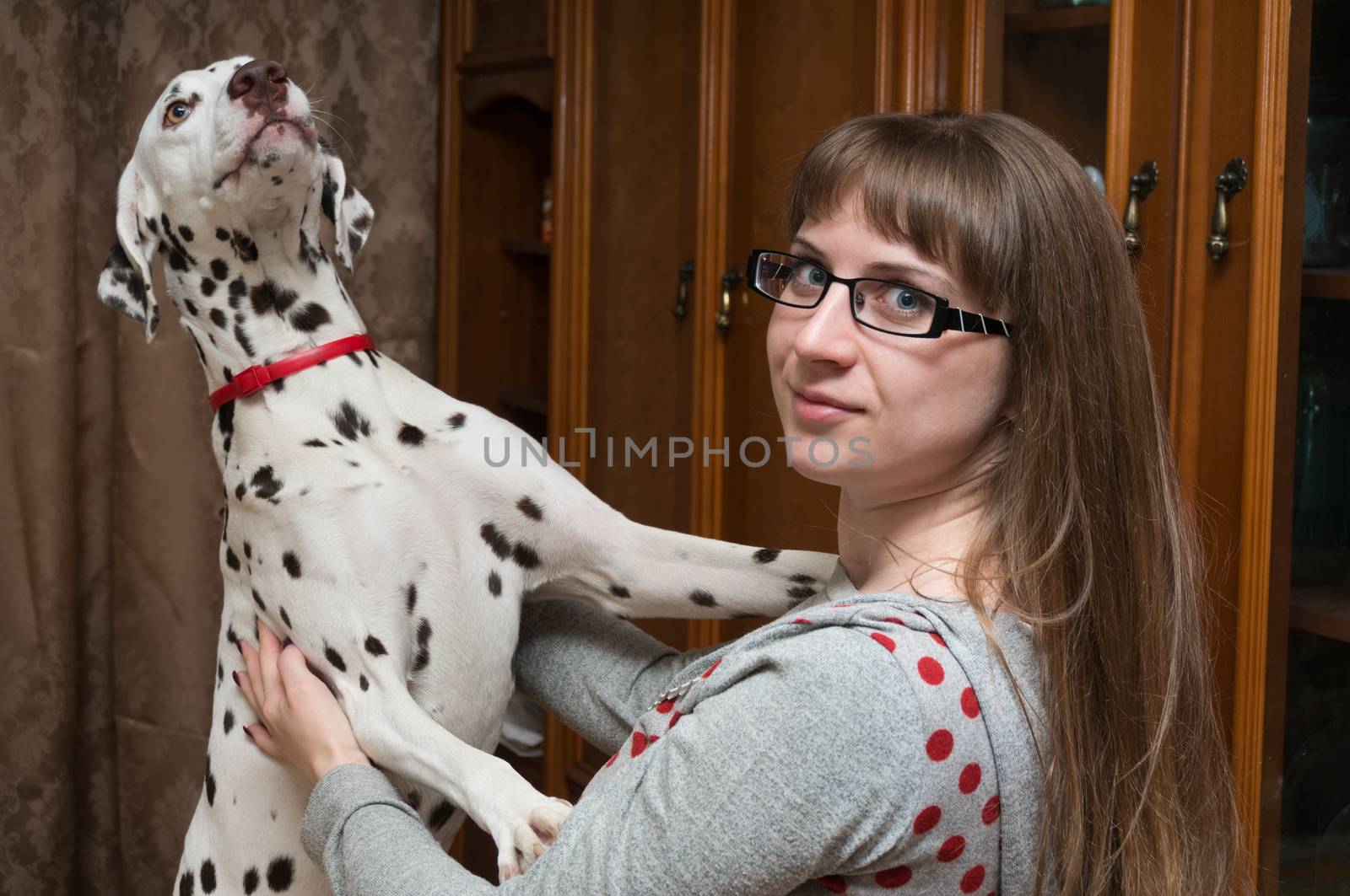 The dalmatian stands on hinder legs leaning on shoulders of the girl