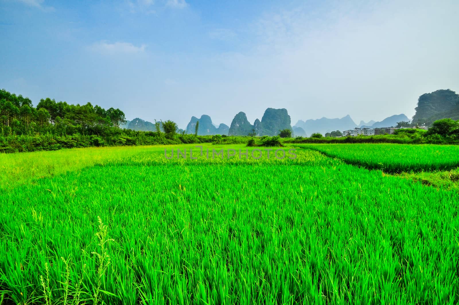 Beautiful Li river side Karst mountain  blue sky landscape in Yangshuo Guilin, China