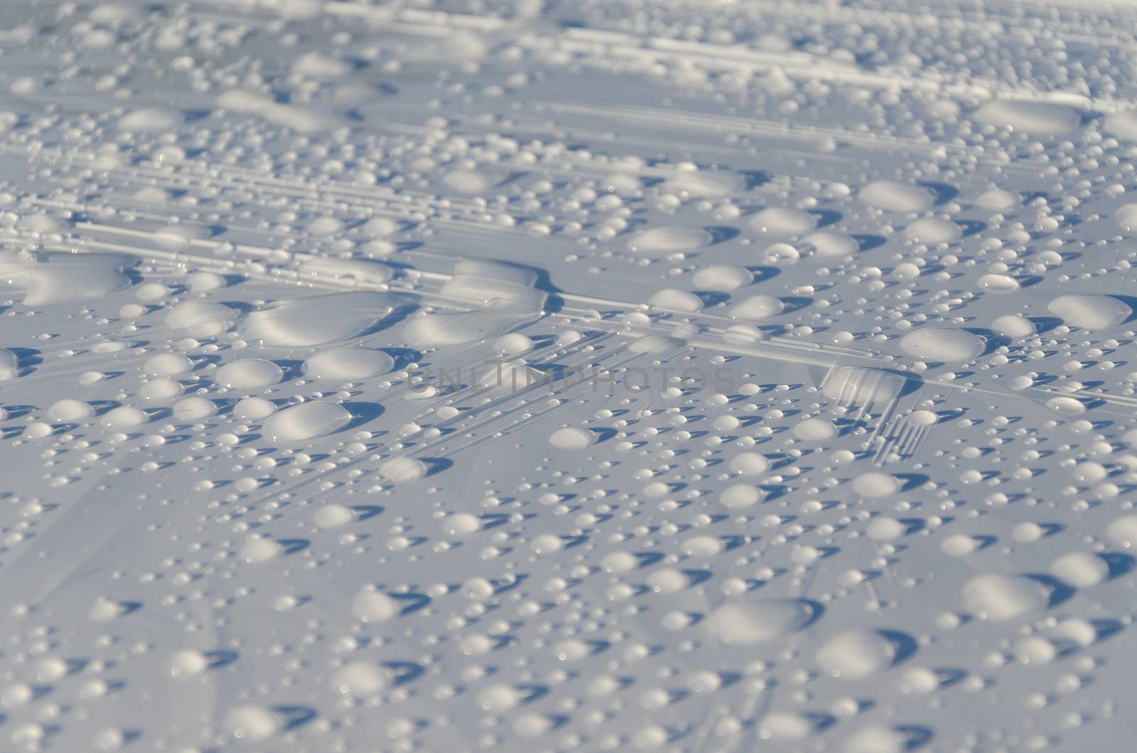 rain drops glisten on white surface background by sauletas