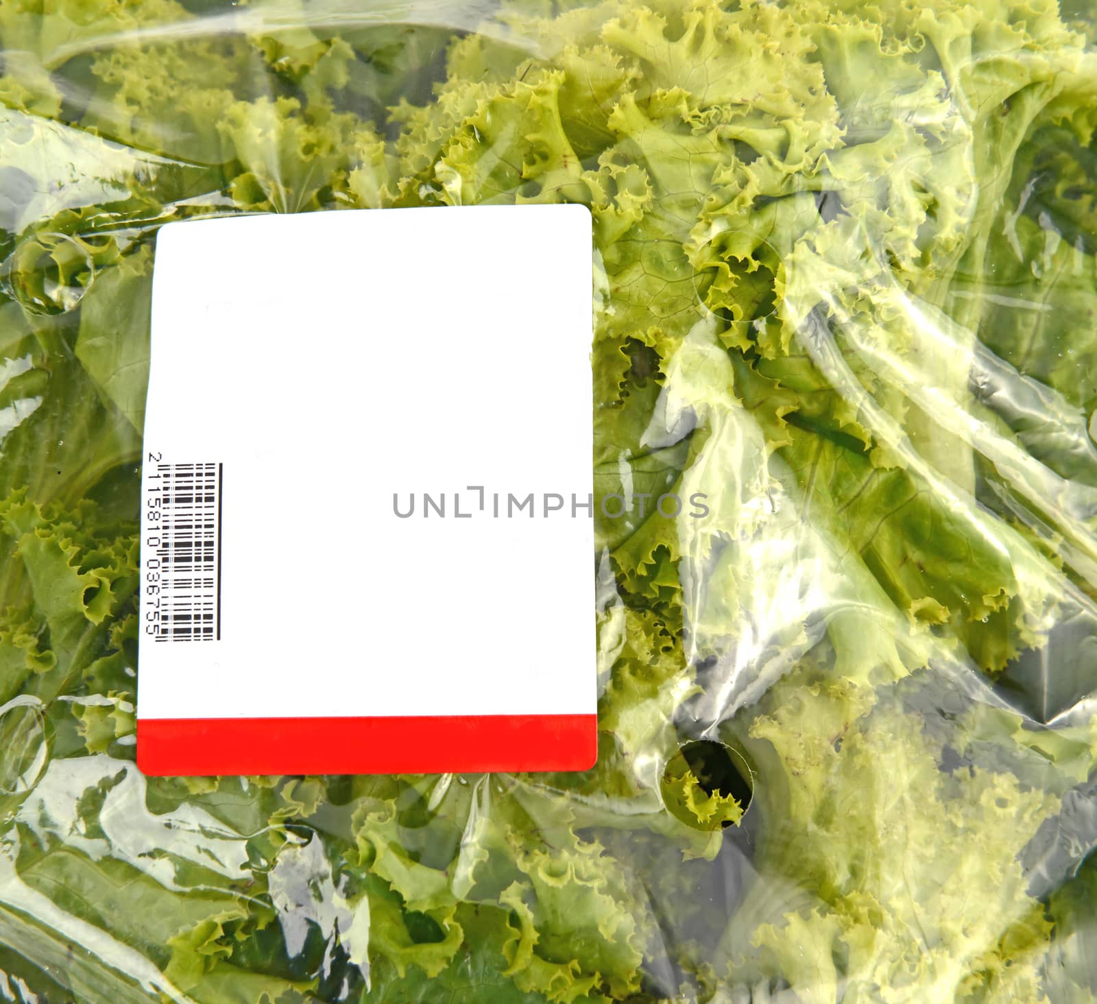 iceberg lettuce in plastic bag package with price tag