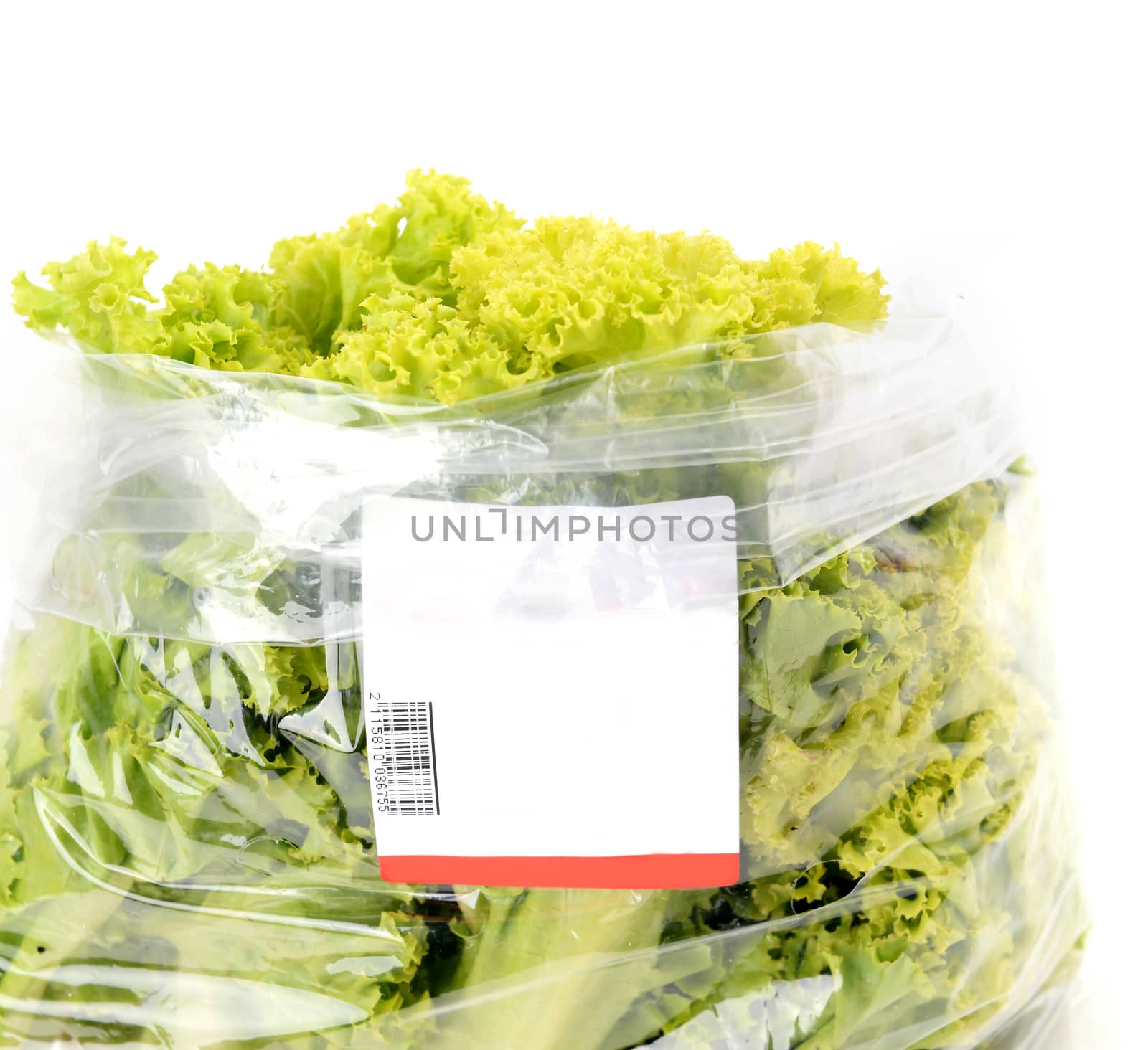 iceberg lettuce in plastic bag package with price tag