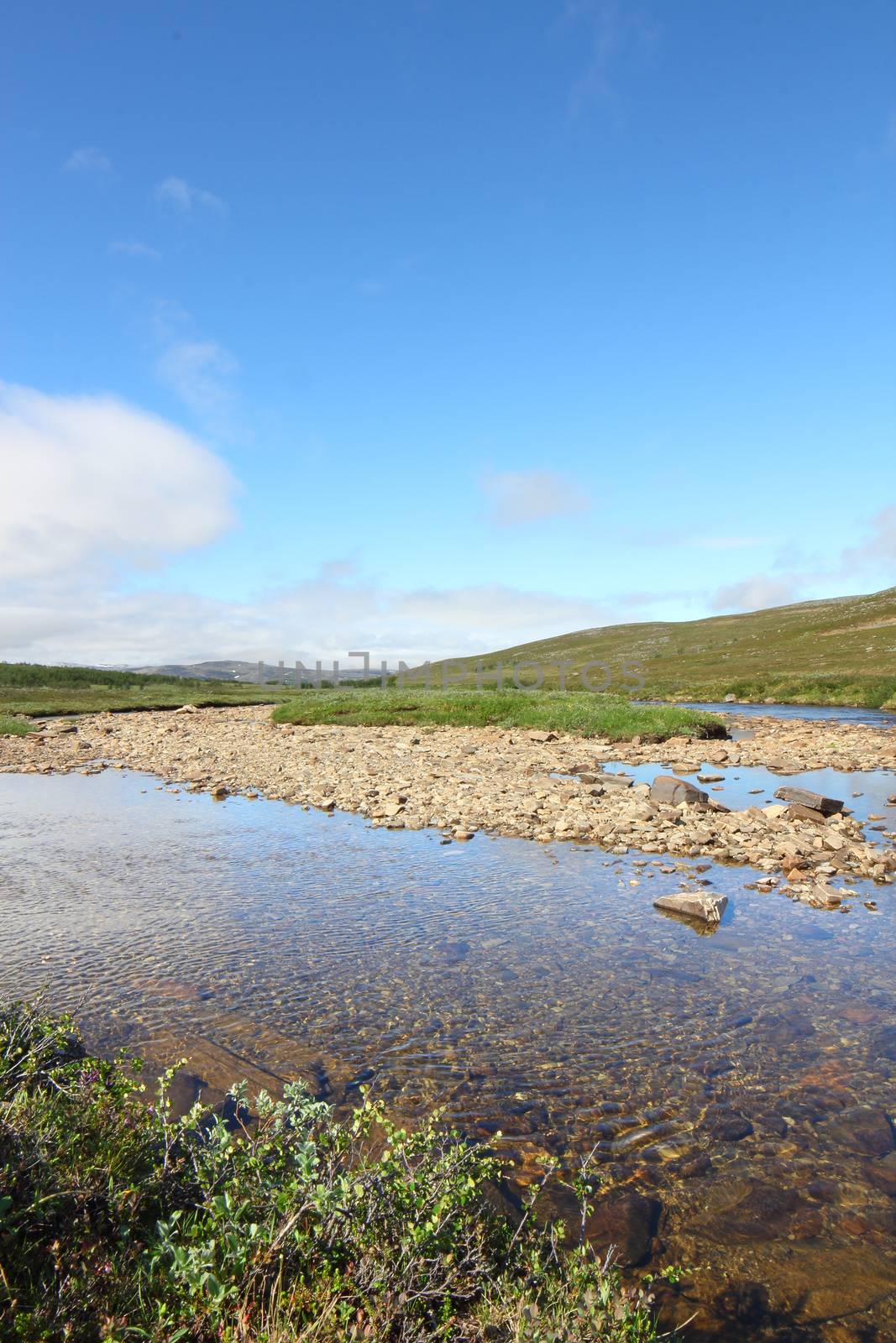 Beautiful tundra landscape in northern Norway at summer