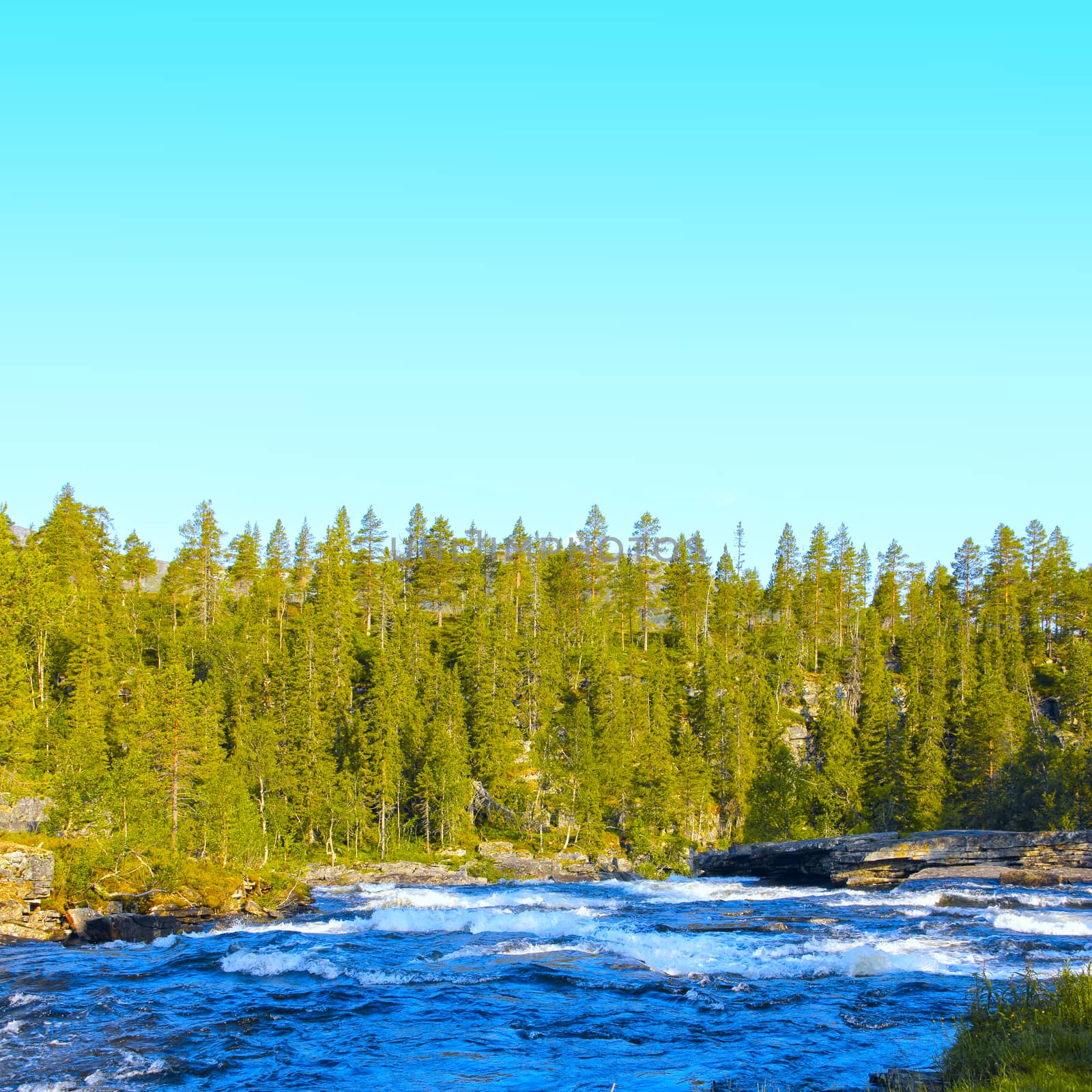 Wild glacier river in summer sunny day, Norway