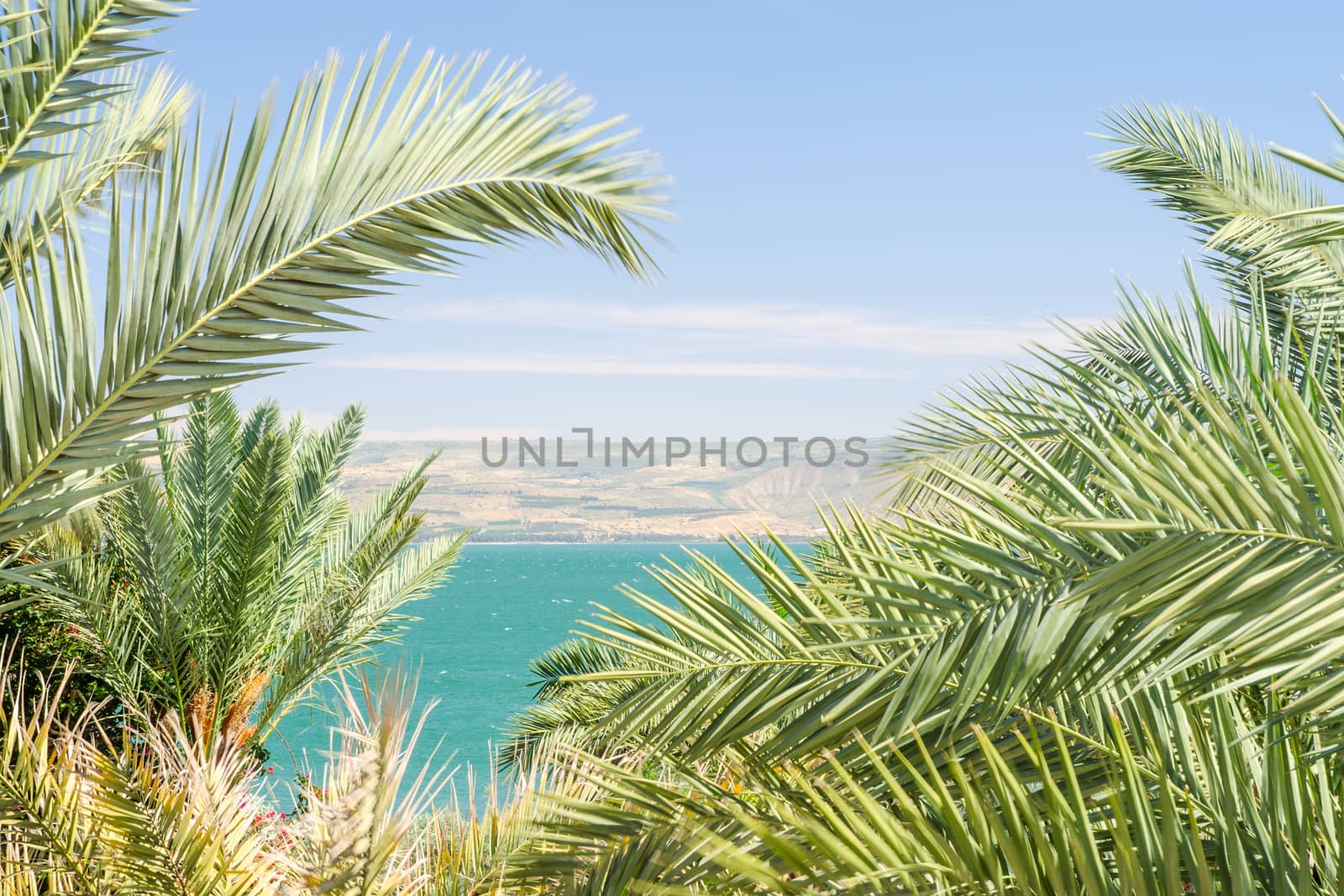 Lake Kinneret or Sea of Galilee in the frame of palm fronds with clear blue sky