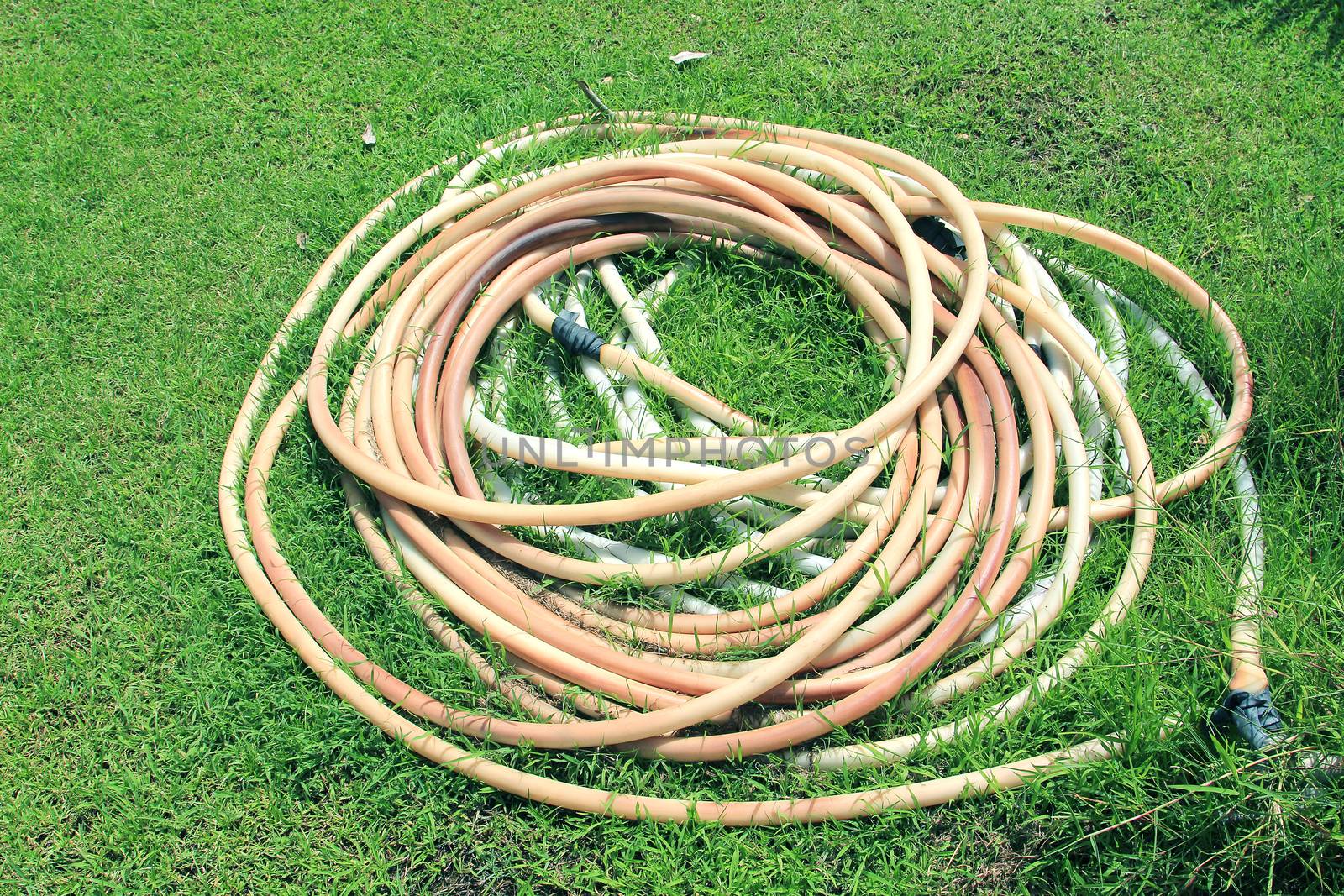 Old water hose