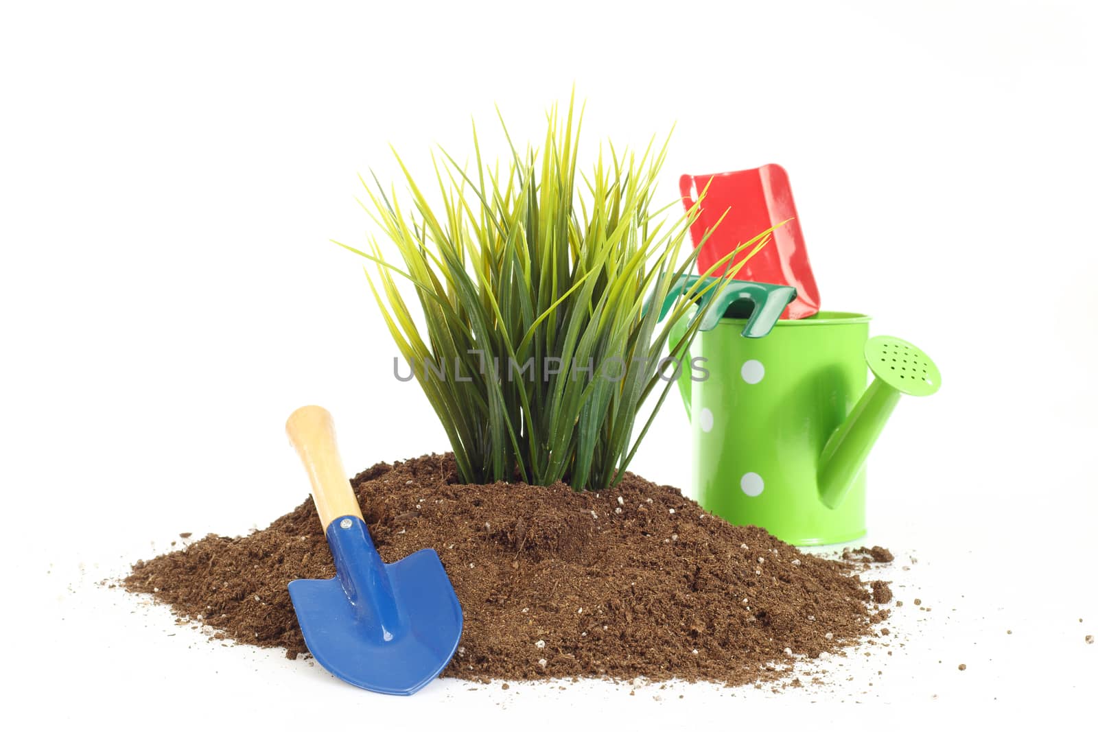 home gardening tools and grass close up 