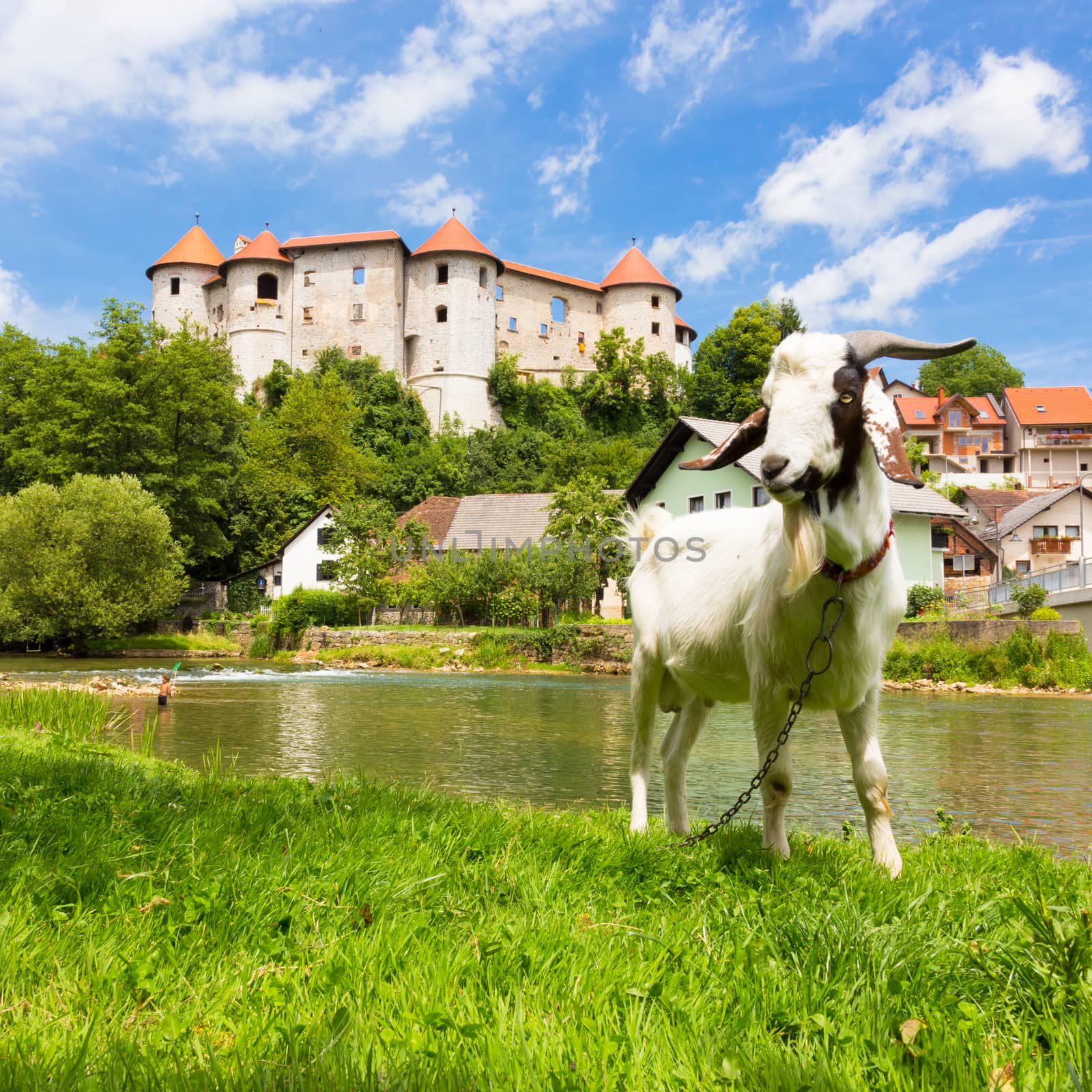 Zuzemberk Castle, Slovenian tourist destination. by kasto