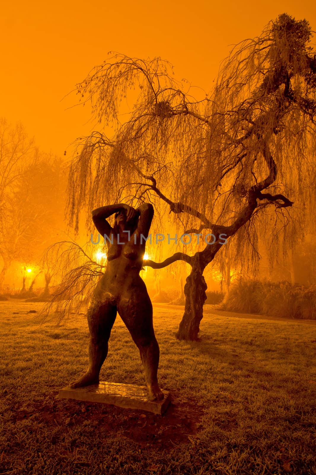 Foggy evening in the park, Koprivnica, Croatia