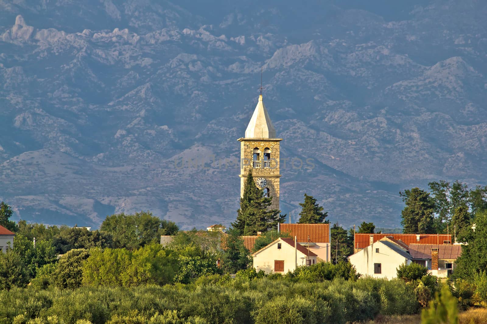 Dalmatian village of Zaton church tower and Velebit mountain, Croatia