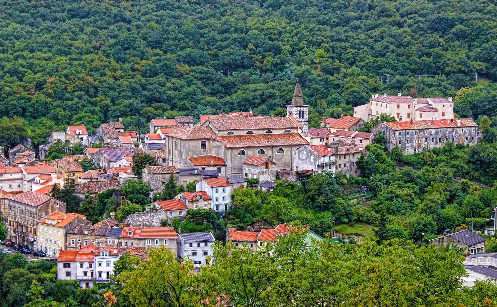 Historic town of Bakar in green forest, Kvarner, Croatia