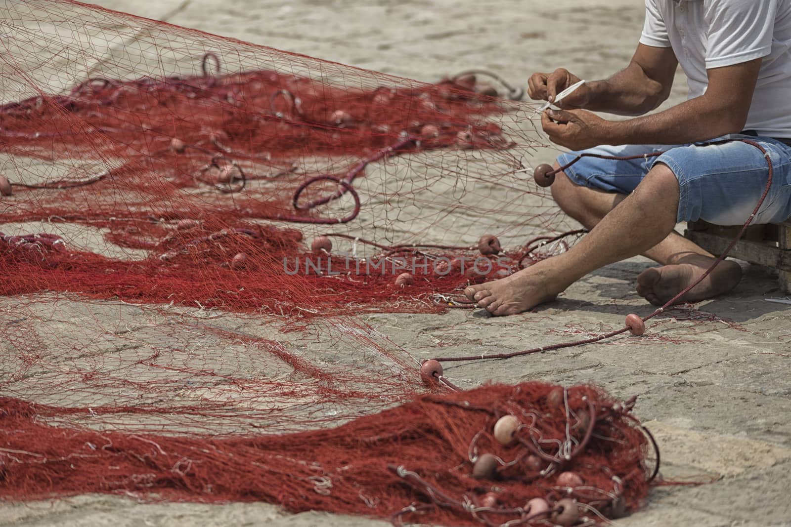 Fisherman repairs his net in Gallipoli (Le)