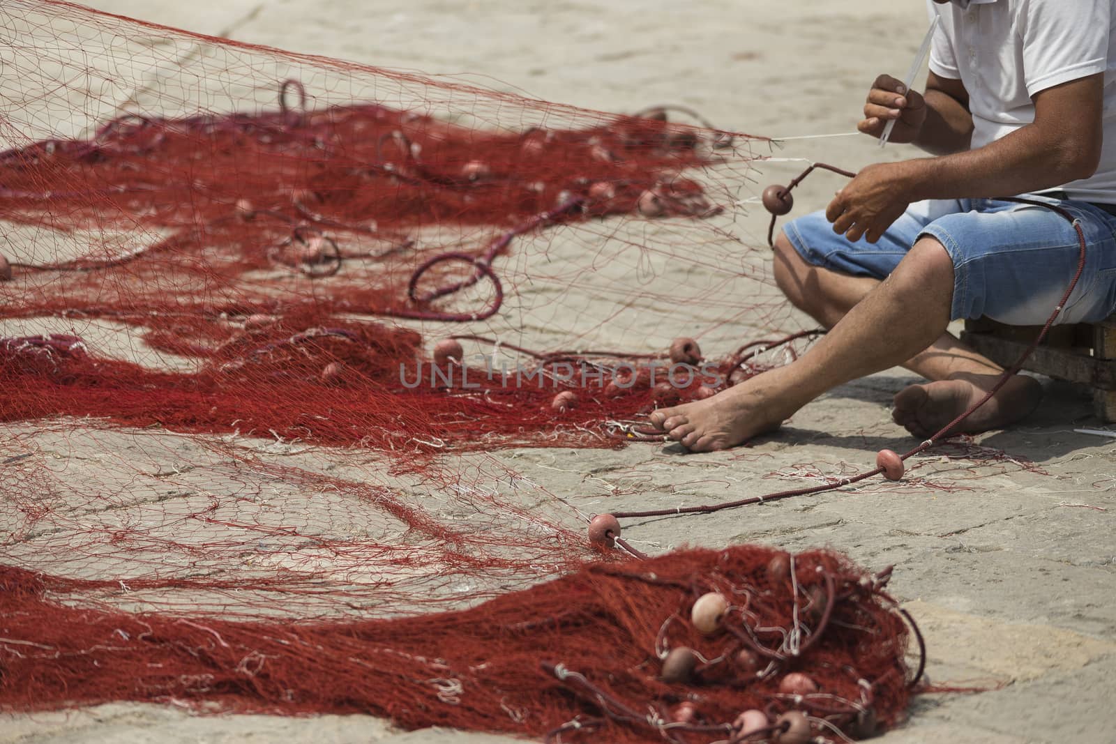 Fisherman repairs his net in Gallipoli (Le)