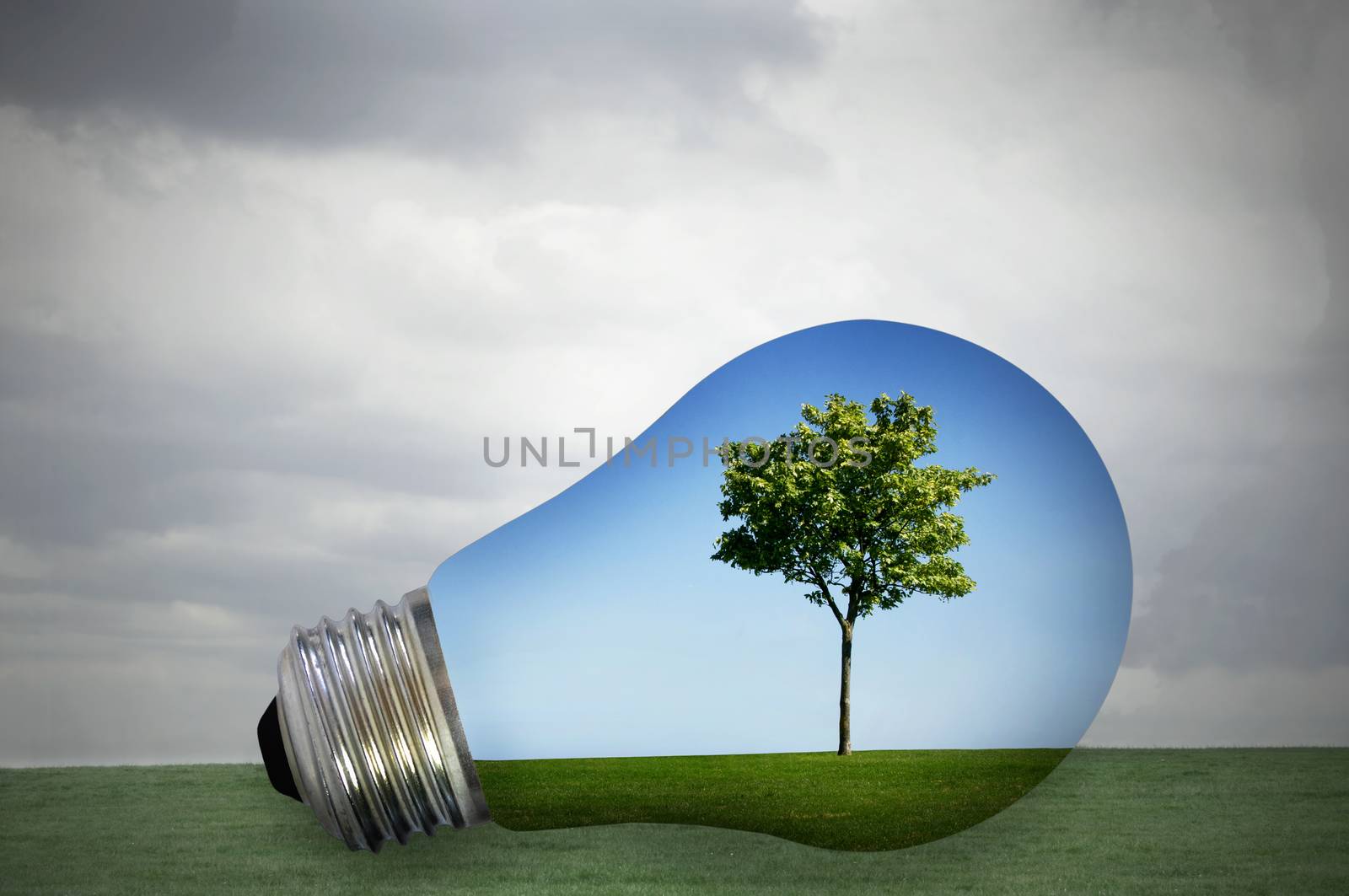 Green tree and blue skies inside a light bulb with grey stormy weather on the outside