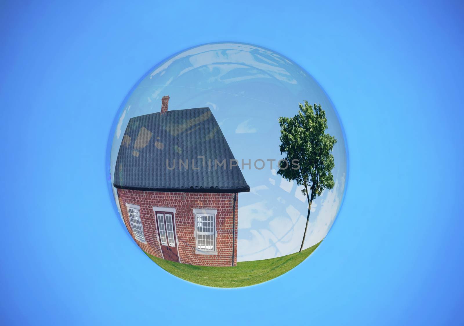 House on a hill with a tree inside a large soap bubble