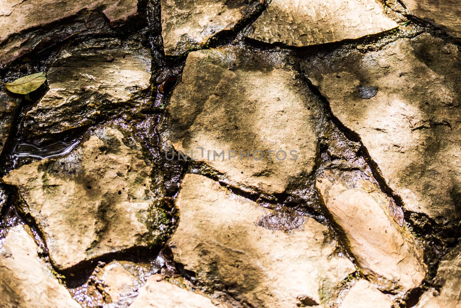 natural stone that arranged in shape of wall or floor in garden