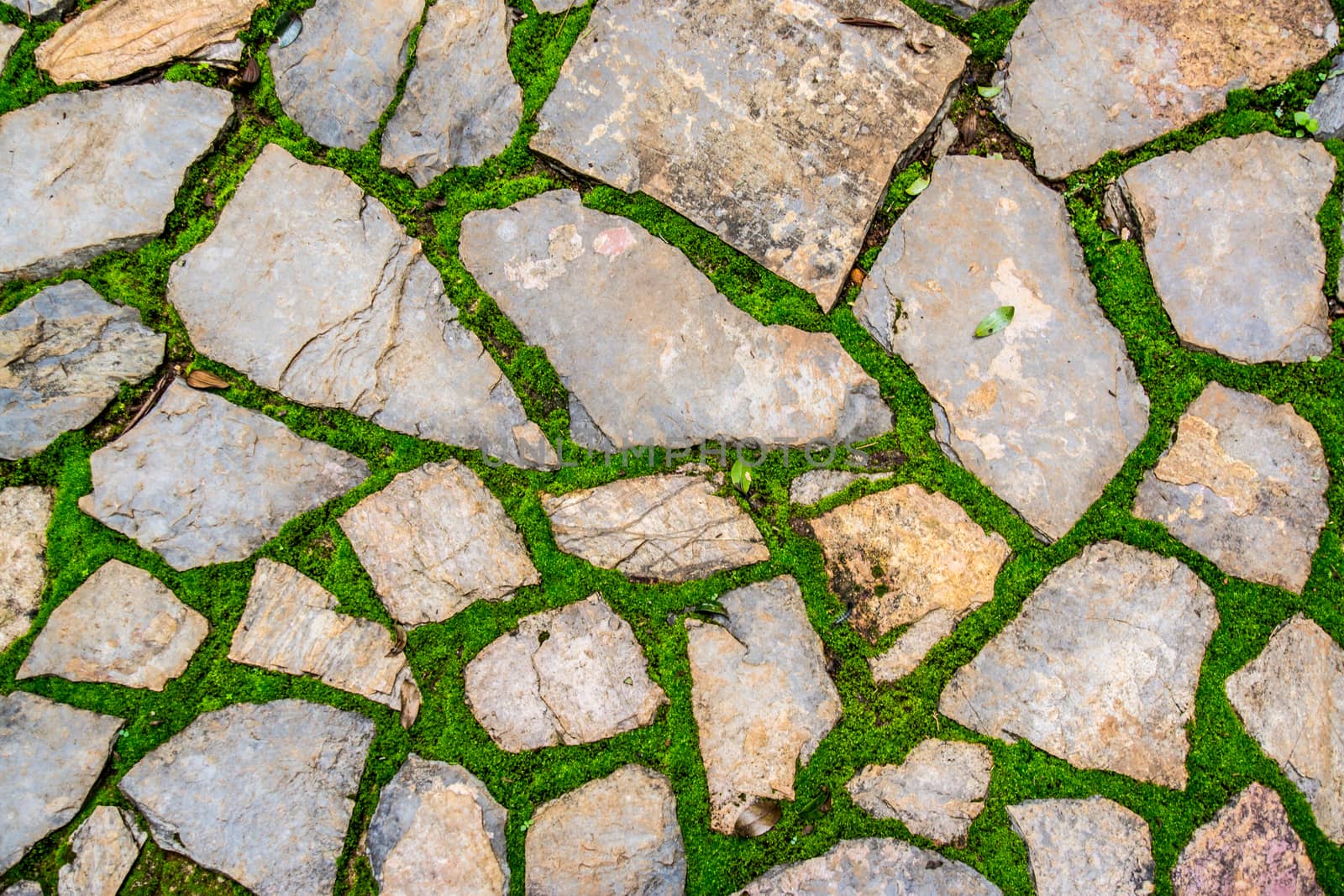 natural stone that arranged in shape of wall or floor in garden