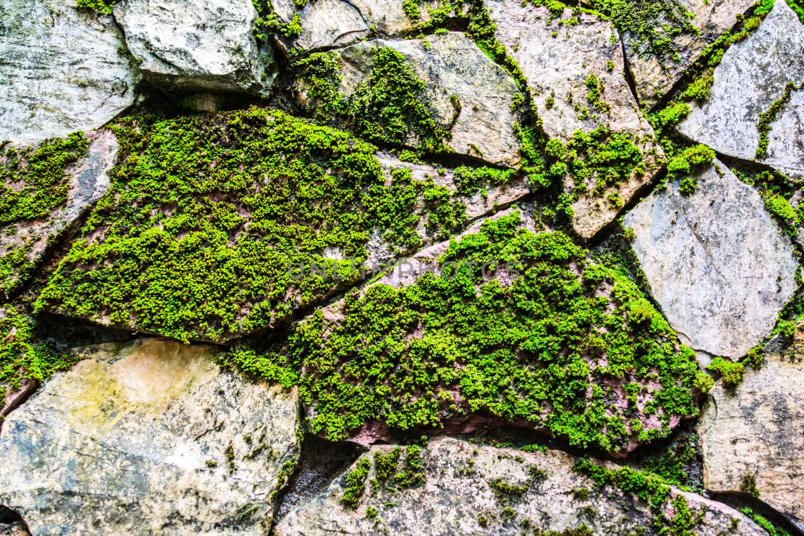 natural stone that arranged in shape of wall or floor in garden