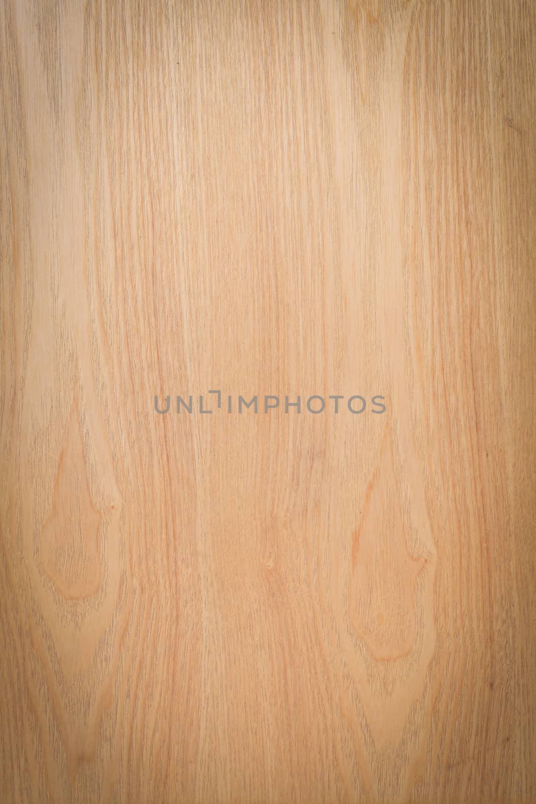 Texture of wood background closeup