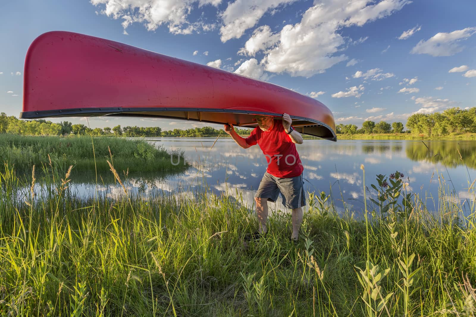 senior male paddler portaging a red canoe on lake shore