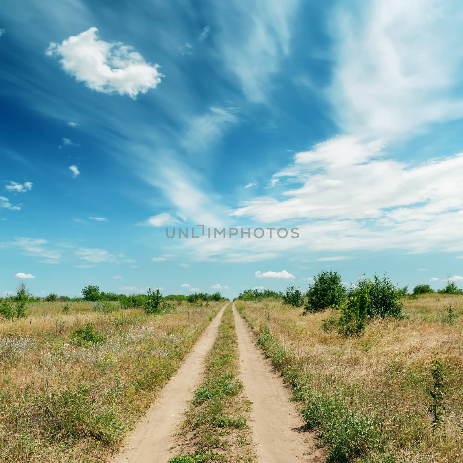 rural road in green landscape and dramatic blue sky with clouds