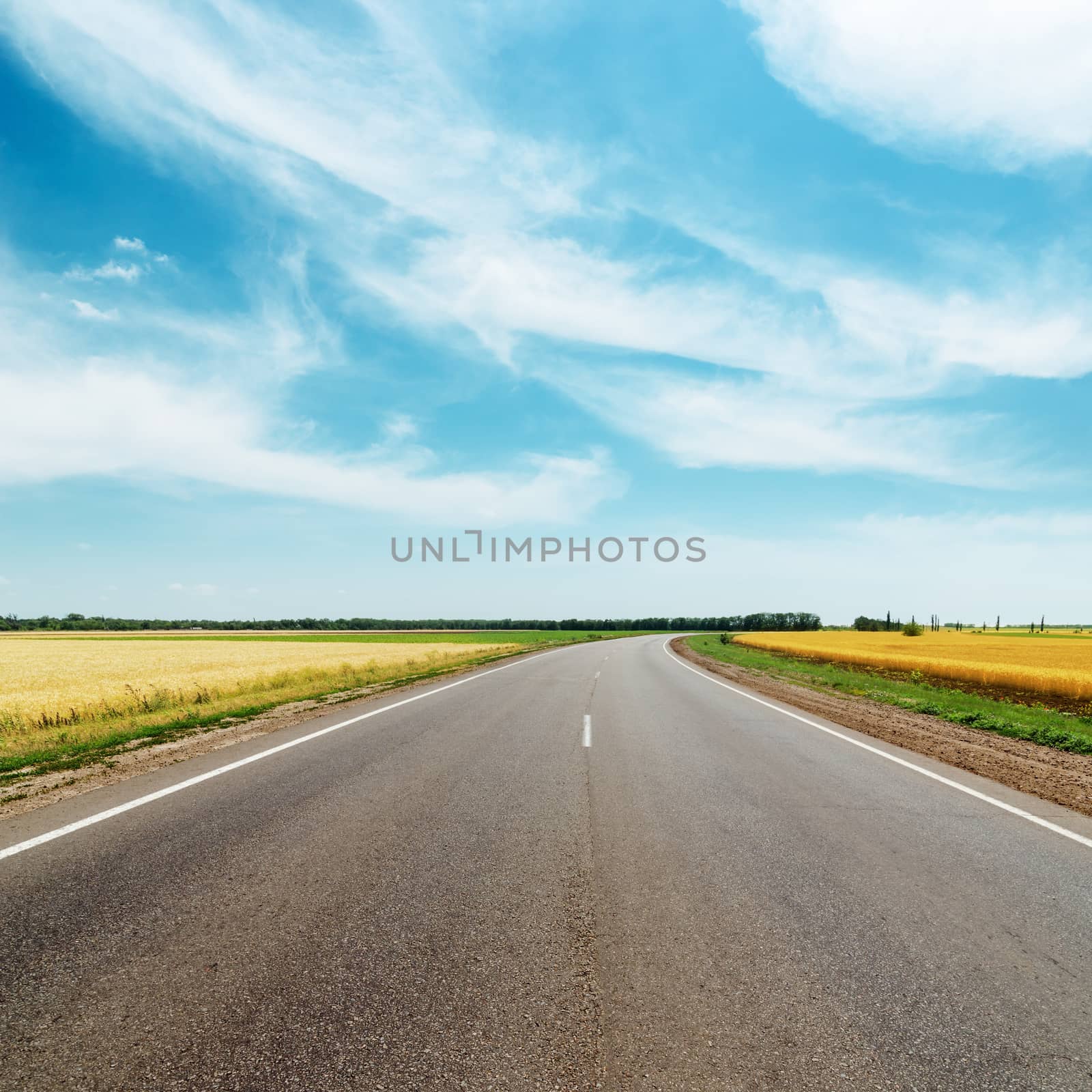 asphalt road to horizon between golden fields under blue sky with clouds