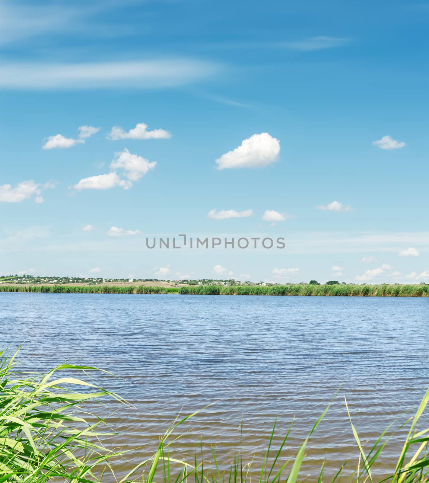 river with green coast and clouds in blue sky