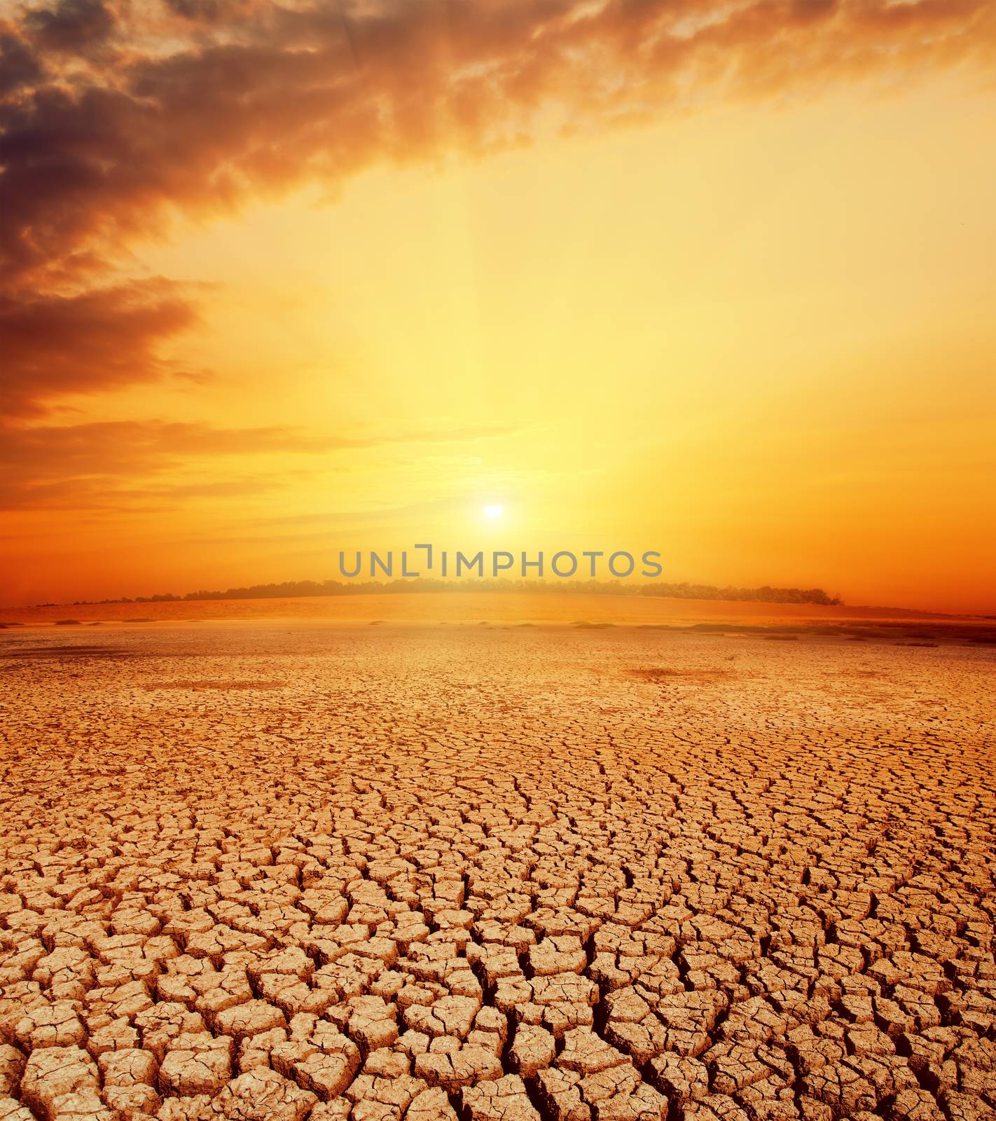 hot orange sunset over desert by mycola