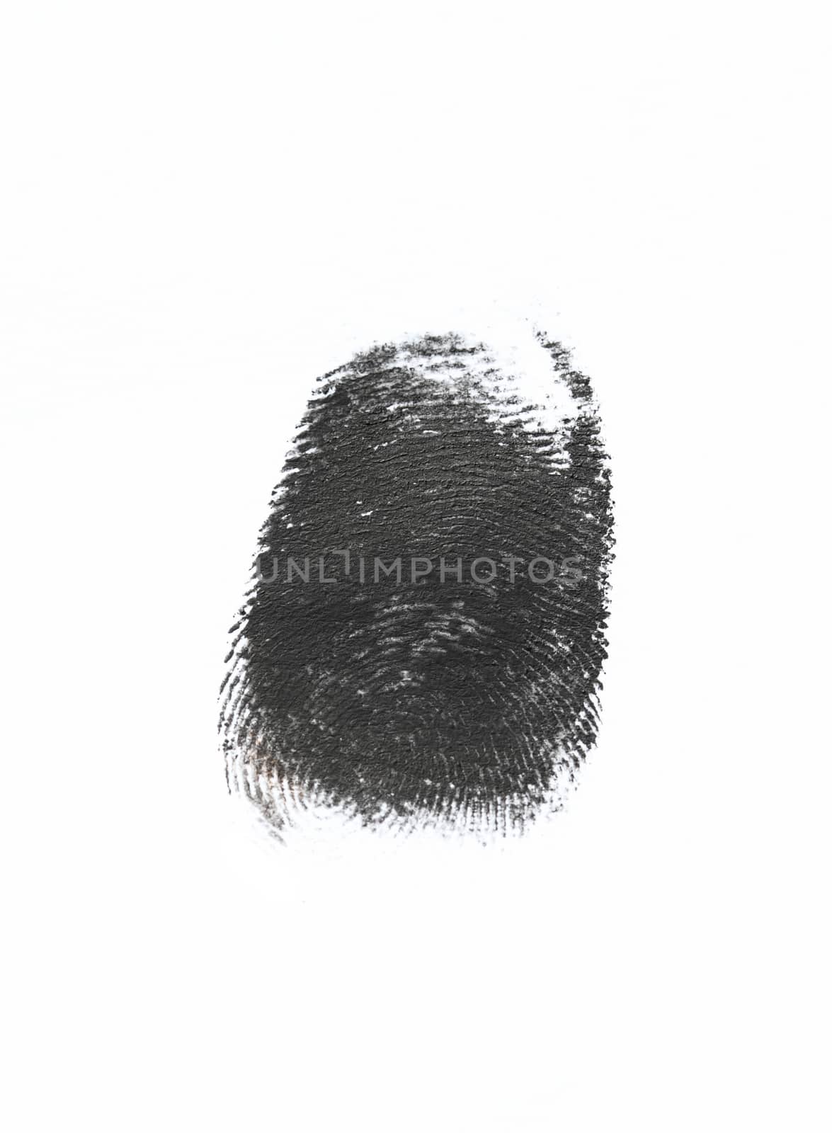 On a photo fingerprint isolated on white