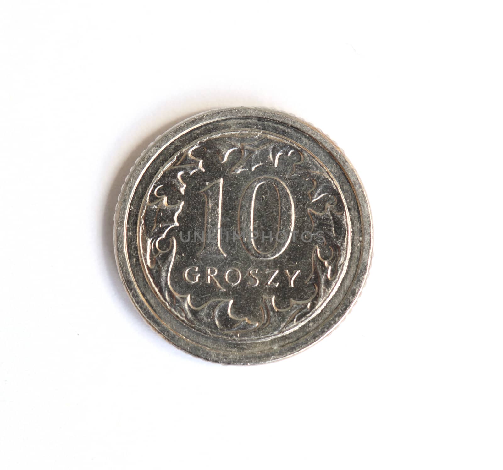 Polish money. coin