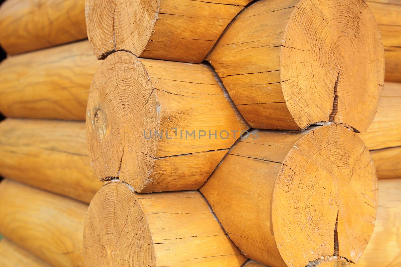 Logs in the wall of old rural house.