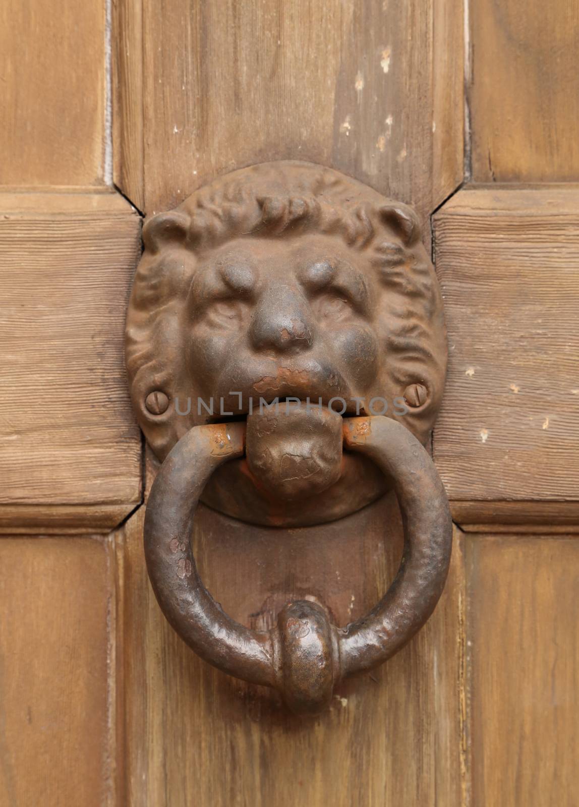 vintage oriental knocker door of metal lion on wood door